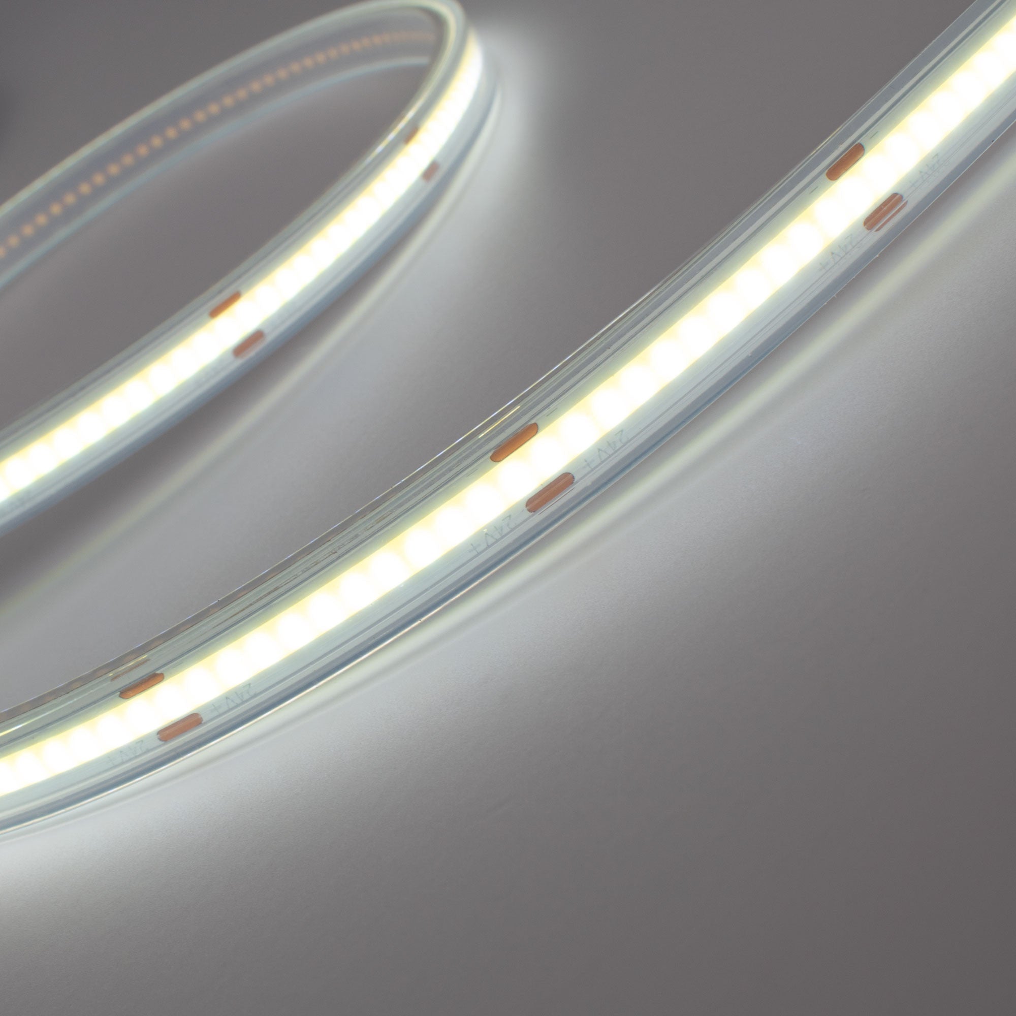 Tira LED COB 24V DC - 12W/m - 10mm - IP67 - Rollo de 5 metros - Corte cada 5cm