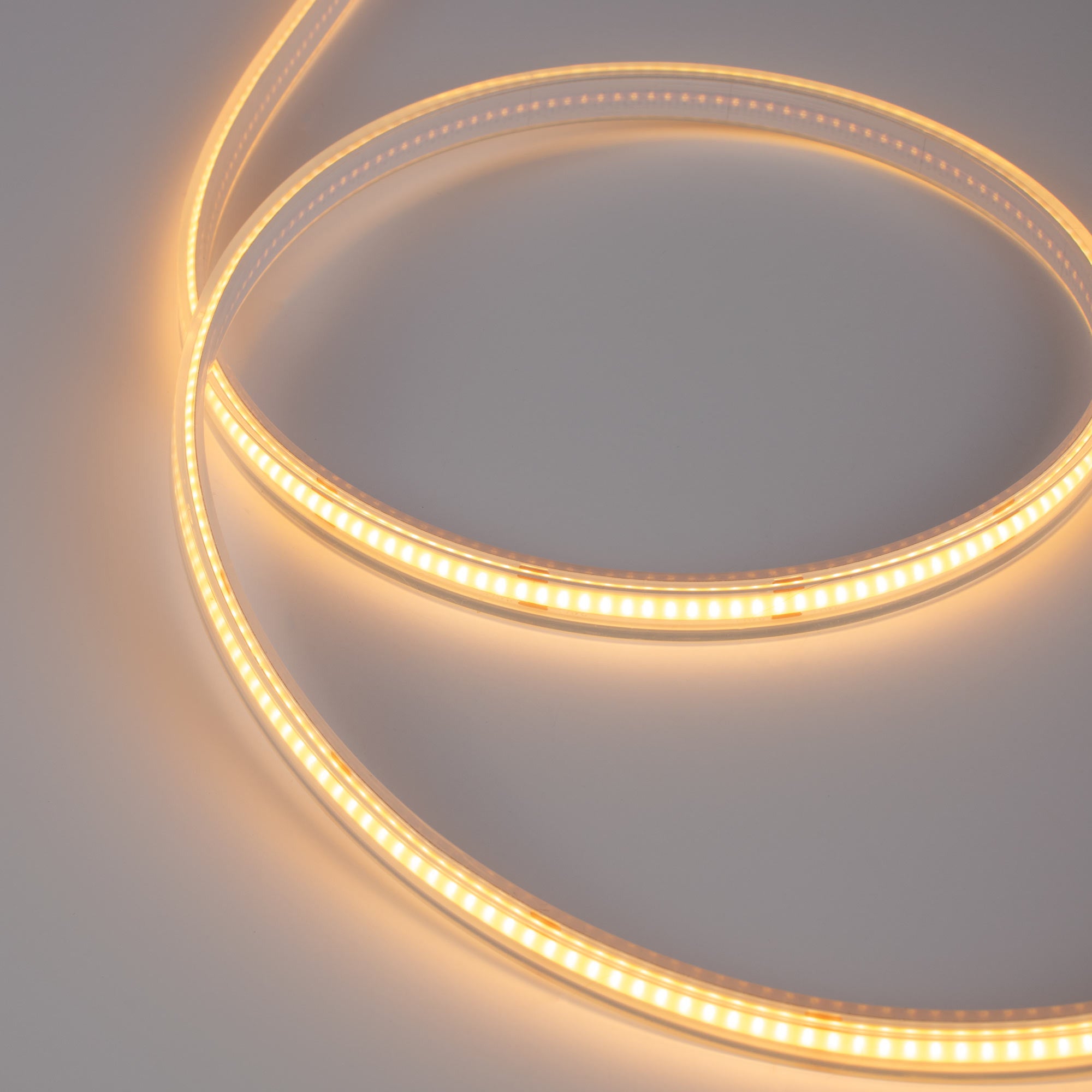 Tira LED COB 24V DC - 12W/m - 10mm - IP67 - Rollo de 5 metros - Corte cada 5cm