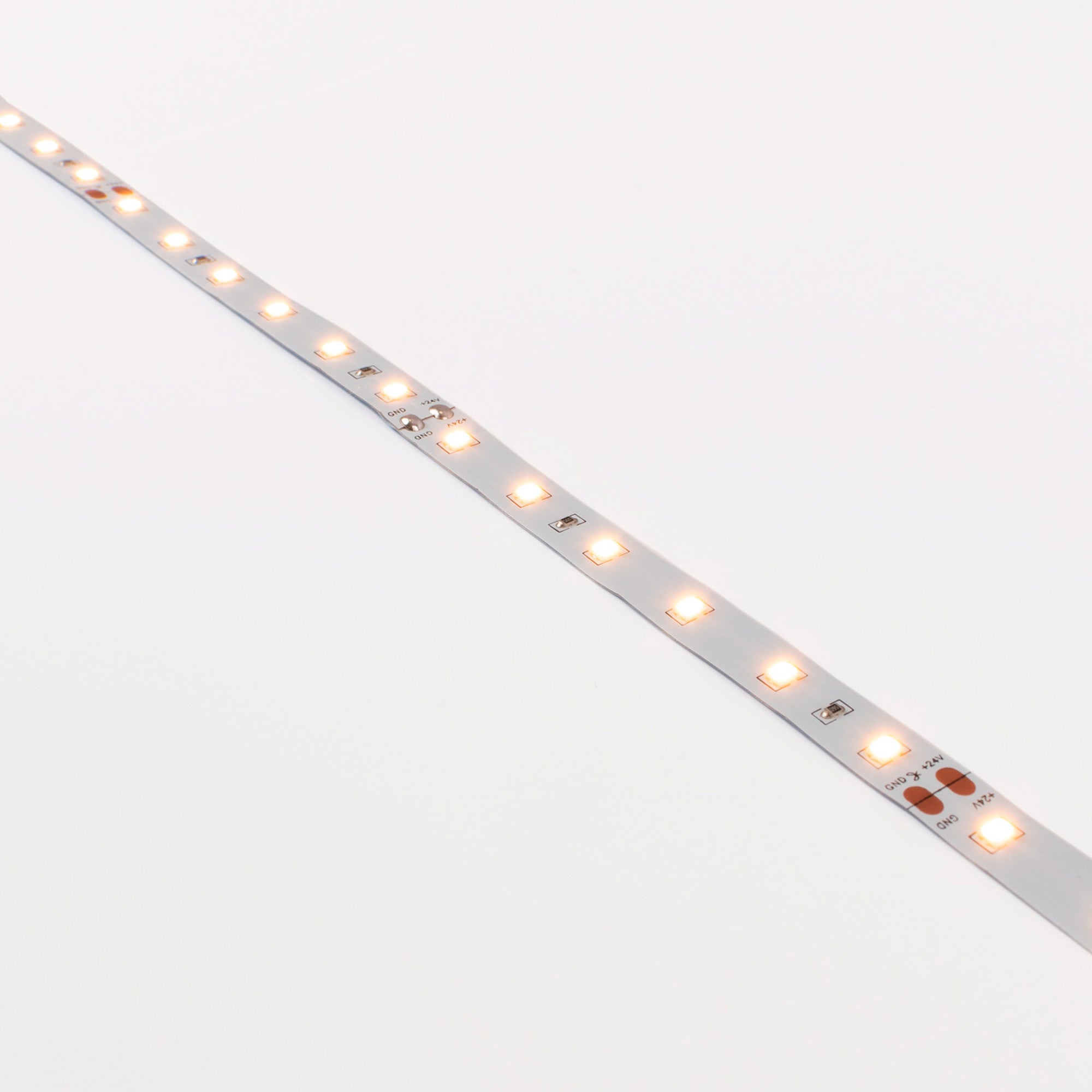 Tira LED 24V DC - 12W/m - Monocolor- 10mm - IP20 - 5 metros - SMD2835 60ch/m