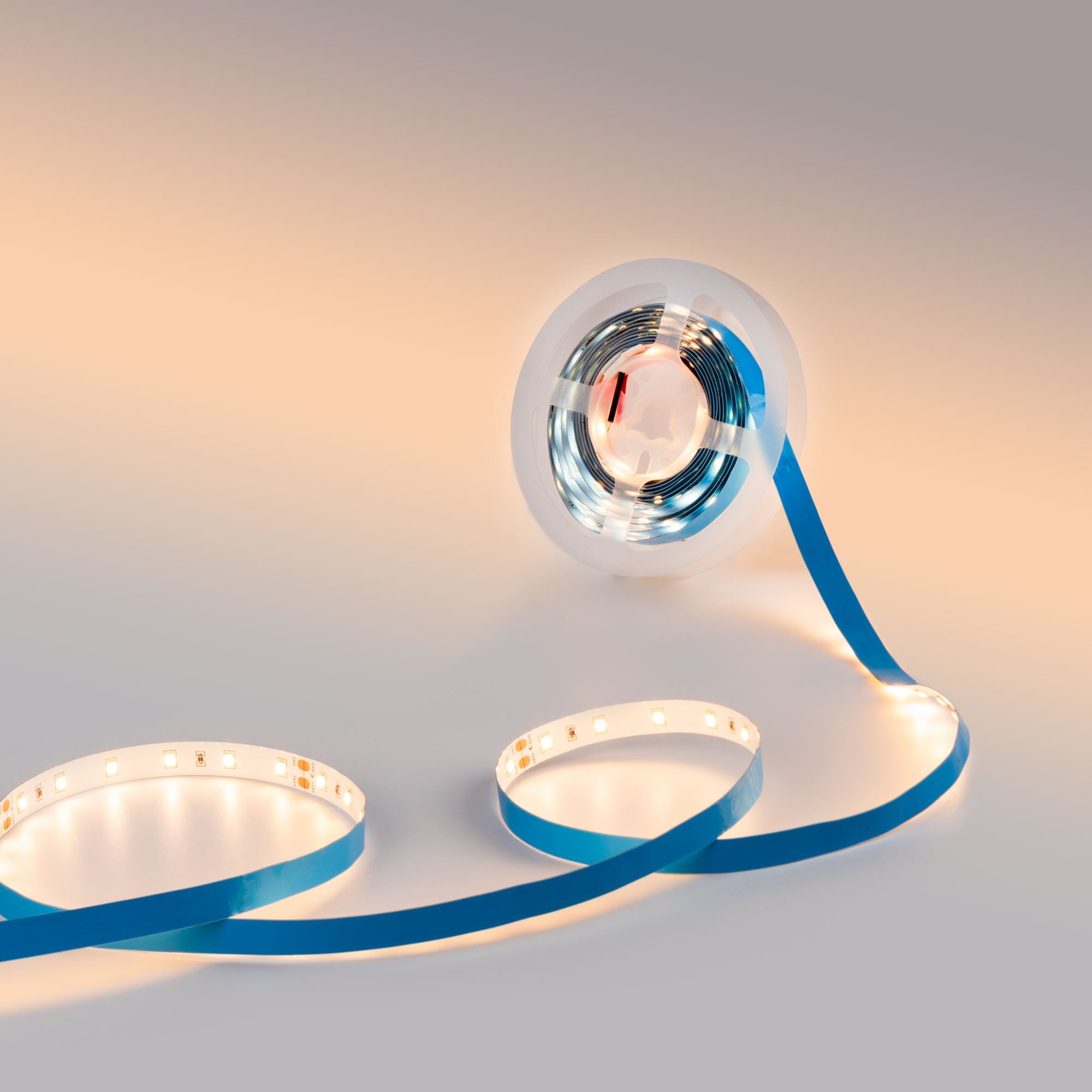 Tira LED 24V DC - 12W/m - Monocolor- 10mm - IP20 - 5 metros - SMD2835 60ch/m