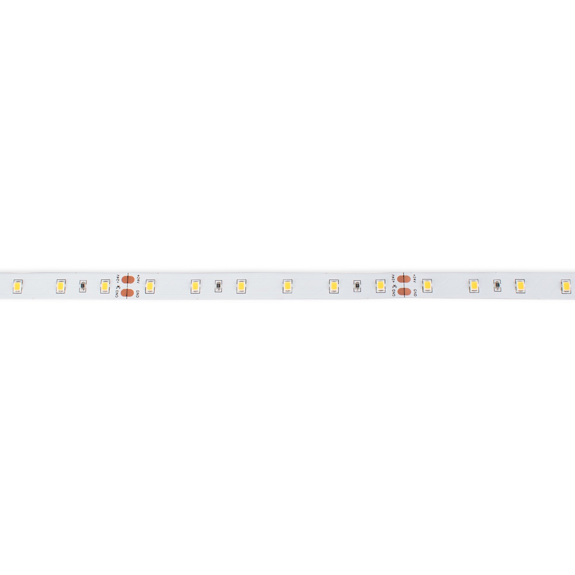 Tira LED 24V DC - 12W/m - Monocolor- 10mm - IP20 - 5 metros - SMD2835 60ch/m