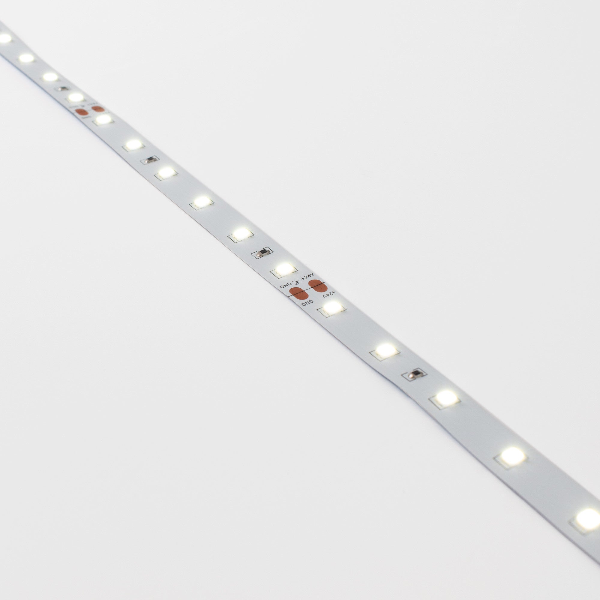 Tira LED 24V DC - 12W/m - Monocolor- 10mm - IP20 - 5 metros - SMD2835 60ch/m