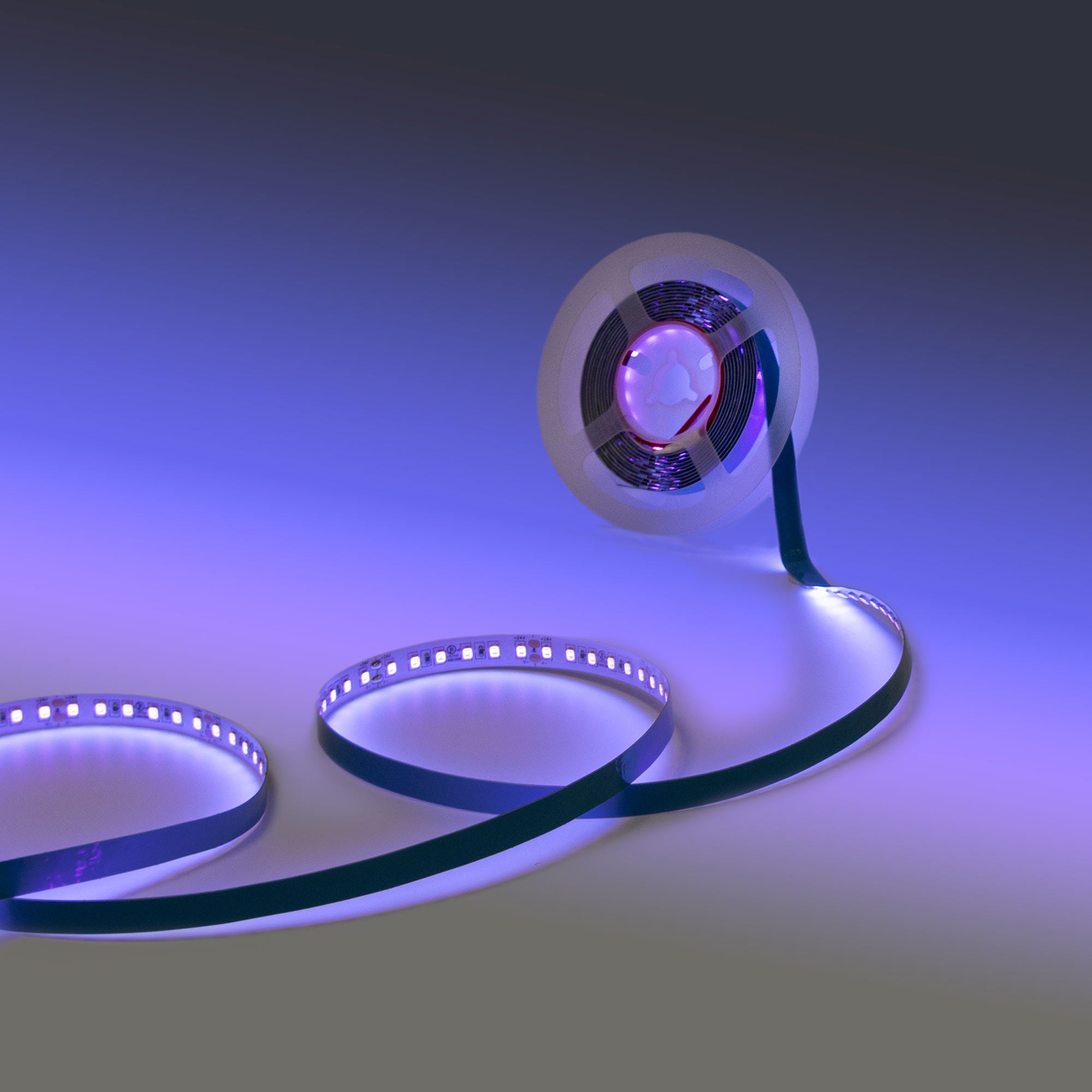 Tira LED 24V DC - 18W/m - Ultravioleta - 10mm - IP20 - 5 metros - SMD2835 120ch/m