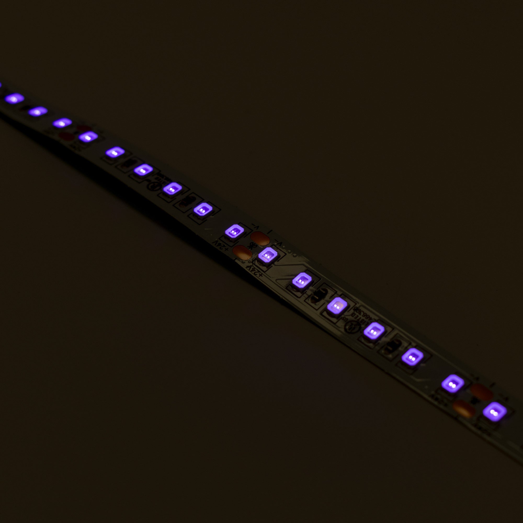 Tira LED 24V DC - 18W/m - Ultravioleta - 10mm - IP20 - 5 metros - SMD2835 120ch/m