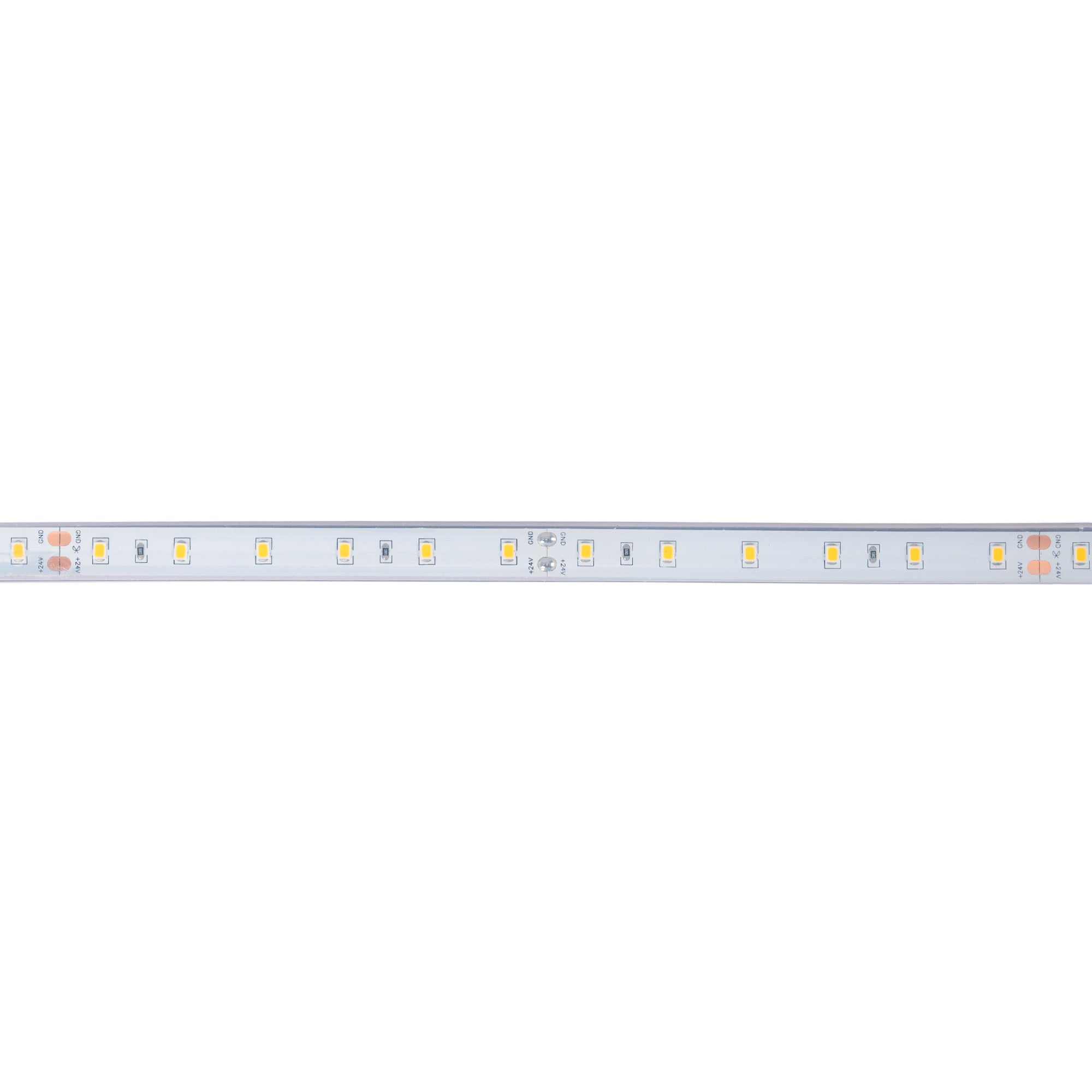 Tira LED 24V DC - 12W/m - Monocolor- 12mm - IP67 - 5 metros - SMD2835 60ch/m
