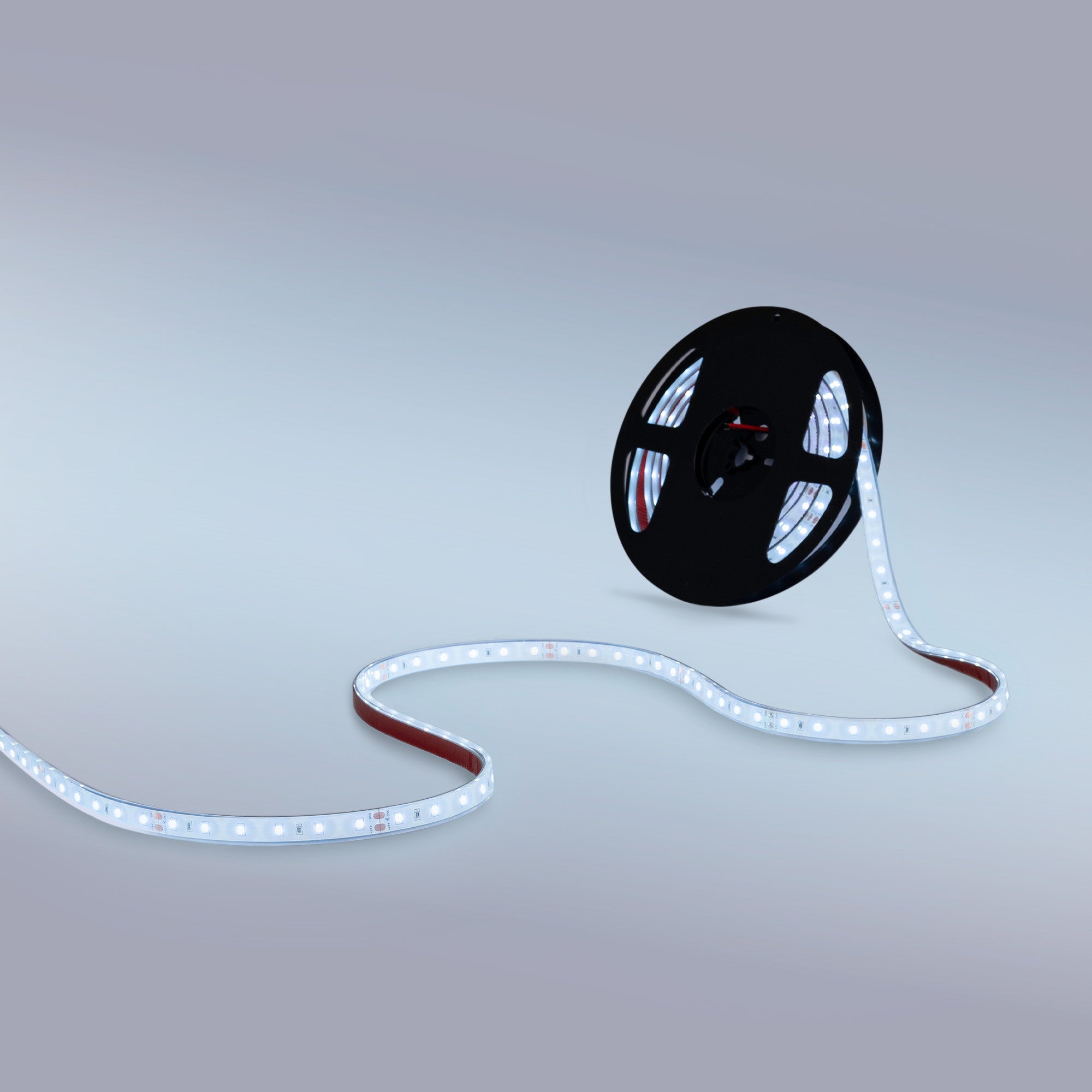 Tira LED 24V DC - 12W/m - Monocolor- 12mm - IP67 - 5 metros - SMD2835 60ch/m