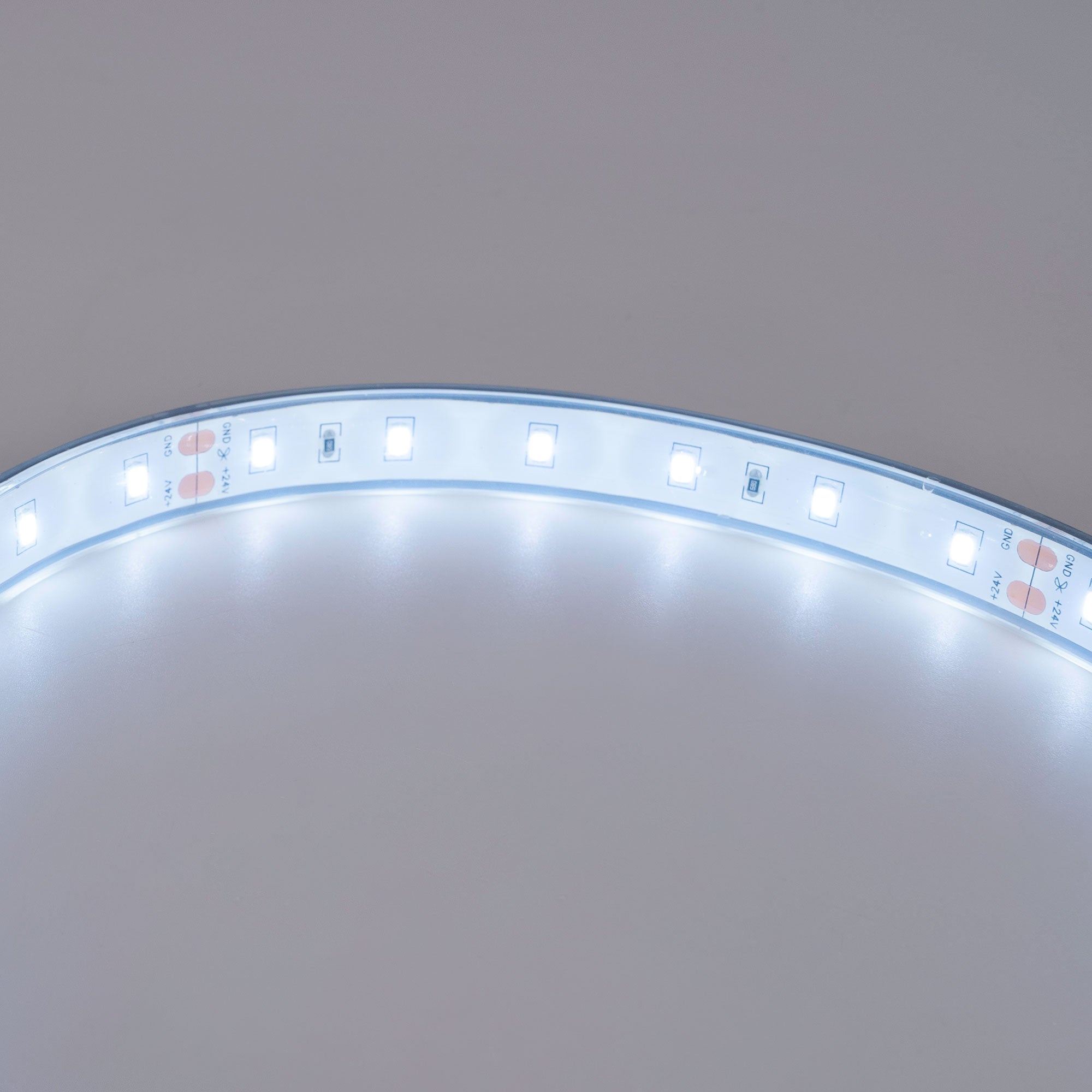 Tira LED 24V DC - 12W/m - Monocolor- 12mm - IP67 - 5 metros - SMD2835 60ch/m
