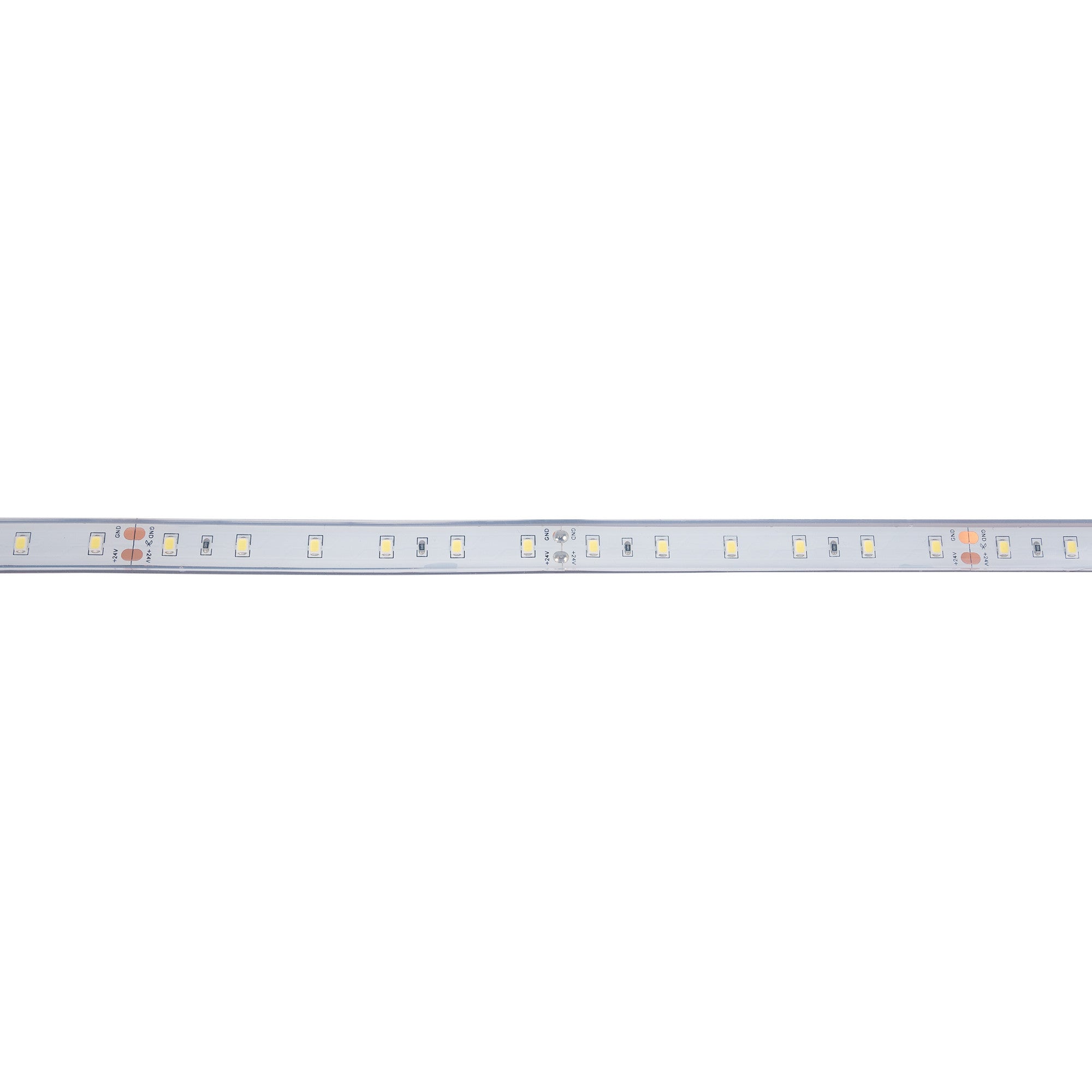 Tira LED 24V DC - 12W/m - Monocolor- 12mm - IP67 - 5 metros - SMD2835 60ch/m