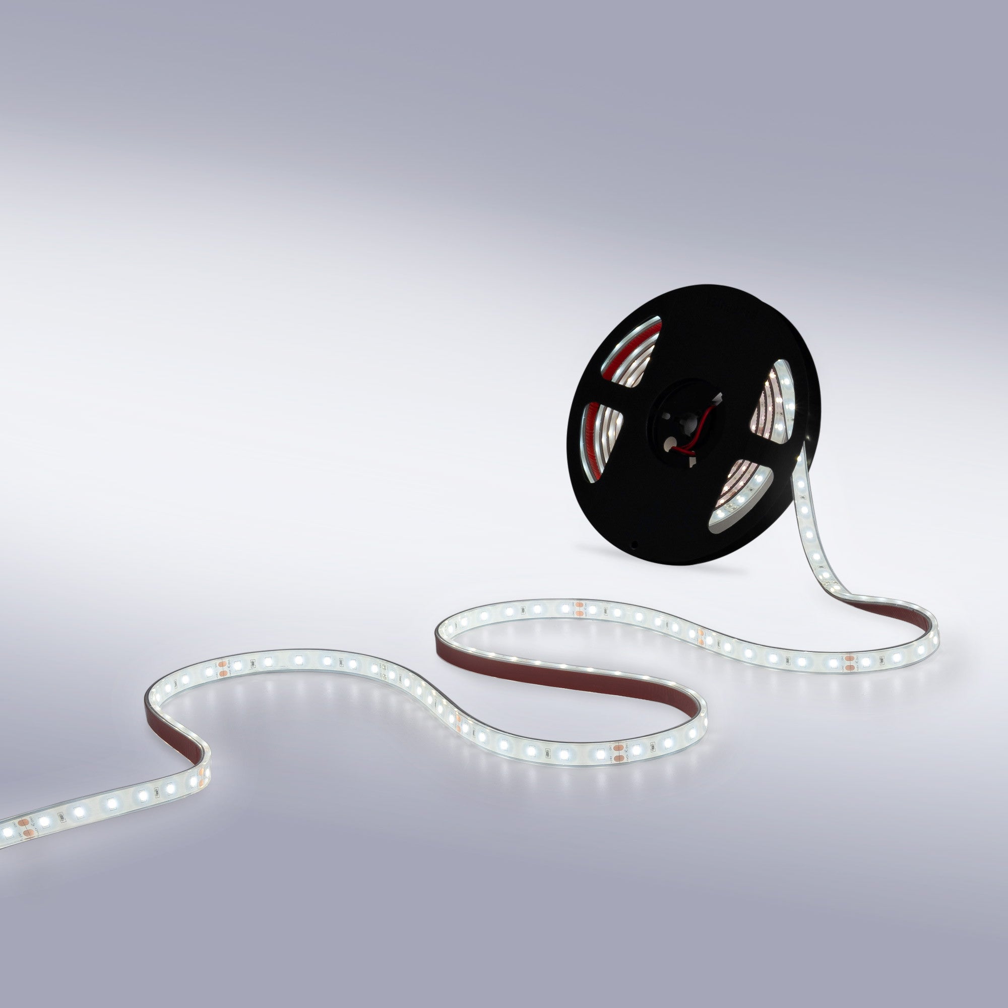 Tira LED 24V DC - 12W/m - Monocolor- 12mm - IP67 - 5 metros - SMD2835 60ch/m