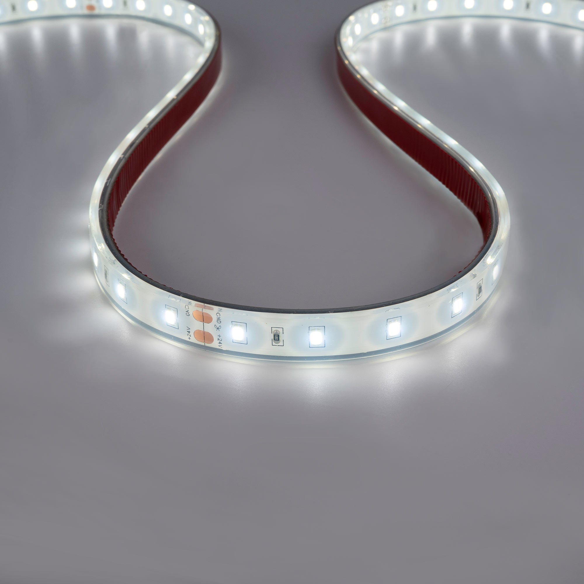 Tira LED 24V DC - 12W/m - Monocolor- 12mm - IP67 - 5 metros - SMD2835 60ch/m