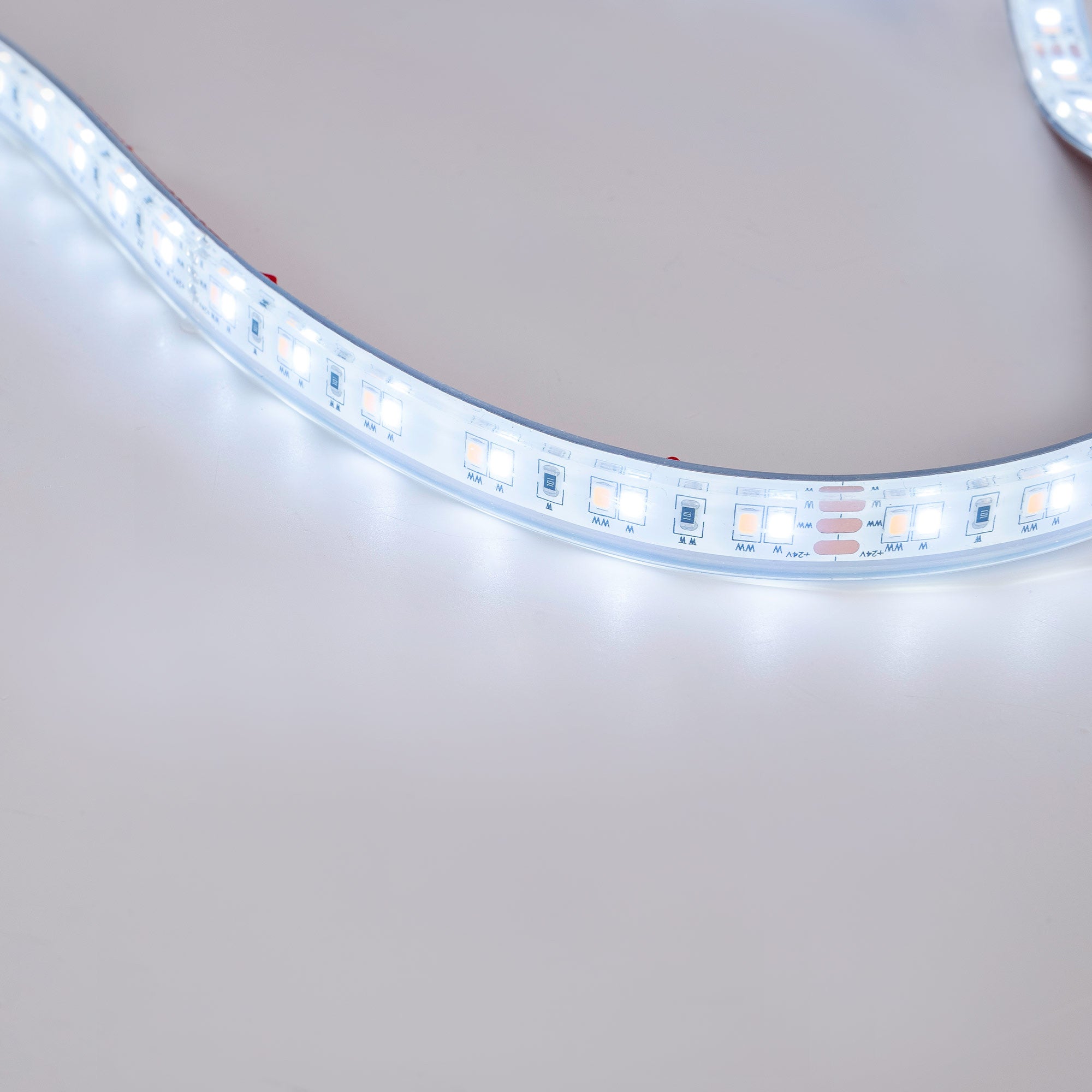Tira de LED 24V-DC - 90W - IP67 - Temperatura de color regulable CCT - 1800-6500K - SMD2835 - Rollo 5 metro