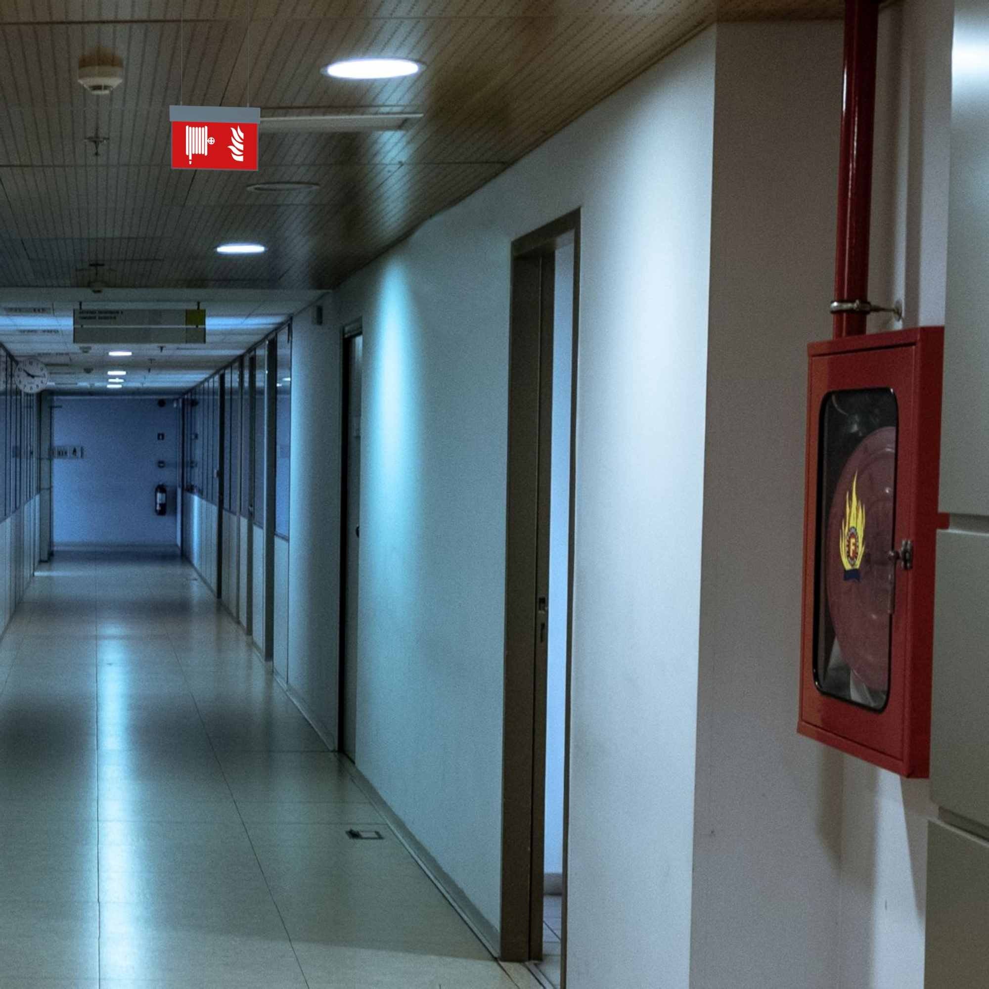 Luz de emergencia permanente con pictograma "Boca de incendio" - Suspensión