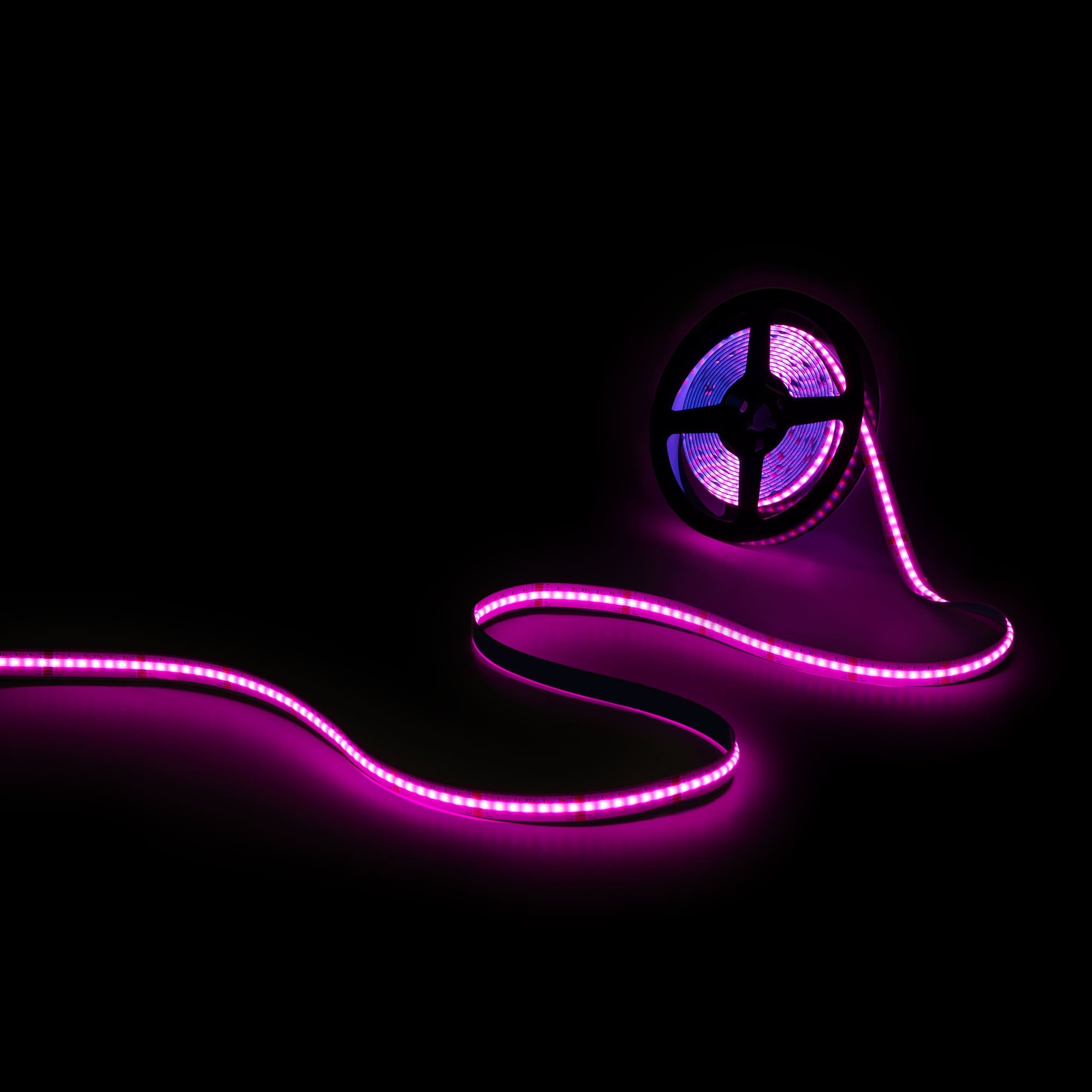 Tira LED COB 24V DC - RGB + CCT - 19W/m - 12mm - IP20 - Rollo de 5 metros