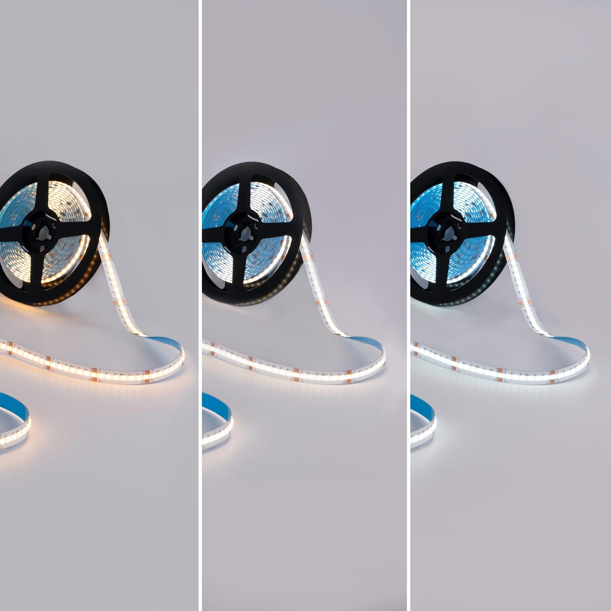 Tira LED COB 24V DC - RGB + CCT - 19W/m - 12mm - IP20 - Rollo de 5 metros