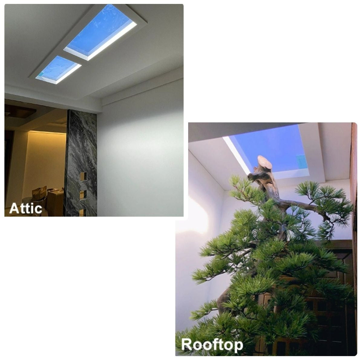 Panel LED "SMART Blue Skylight" - Efecto cielo - Daylight - 50W - 60x30cm