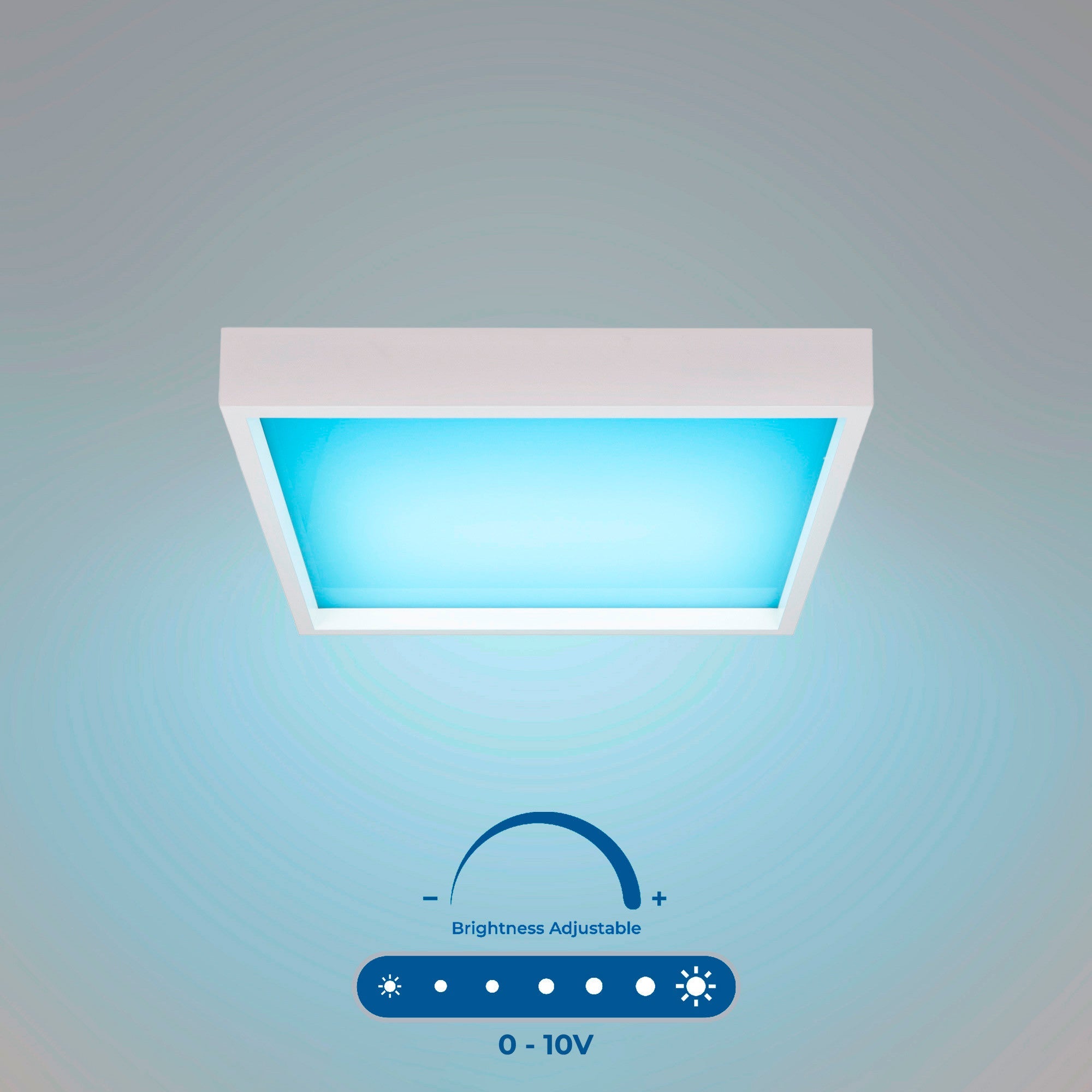 Panel "Blue Skylight" Regulable 0-10V - efecto cielo - Daylight  - 155W - 60x60cm