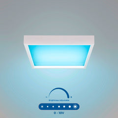 Panel "Blue Skylight" Regulable 0-10V - efecto cielo - Daylight  - 155W - 60x60cm