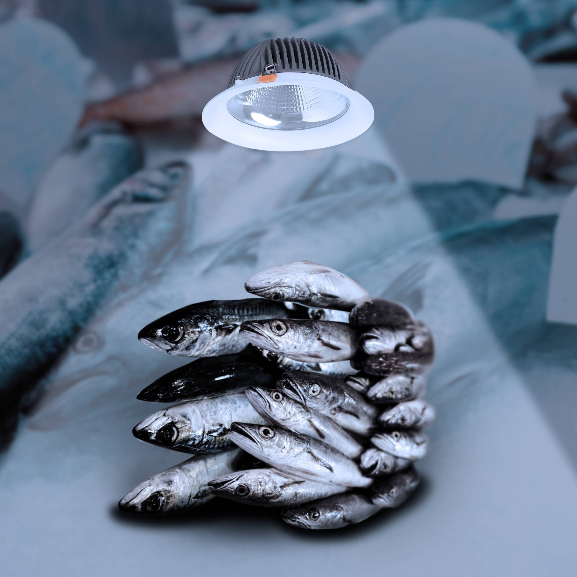 Downlight LED especial para pescaderías - 40W - Driver Philips - Corte Ø210 mm