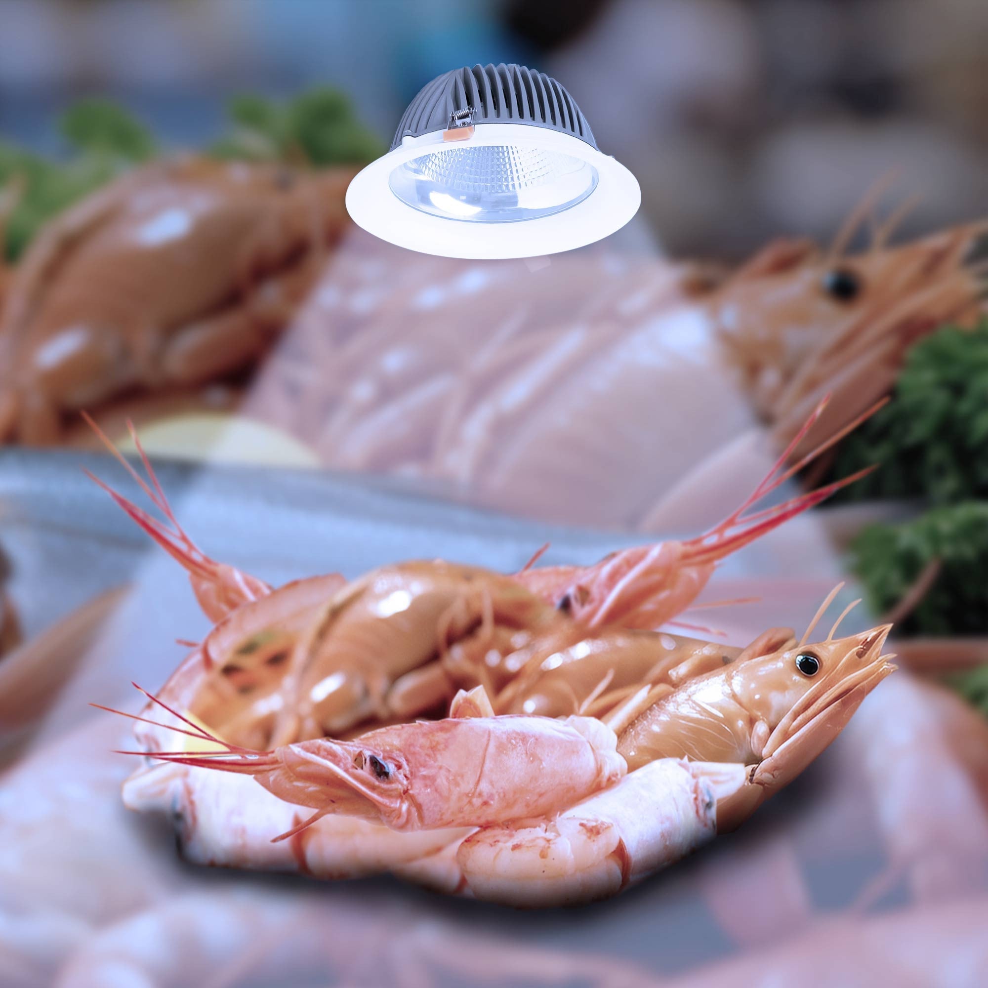 Downlight LED especial para pescaderías - 40W - Driver Philips - Corte Ø210 mm