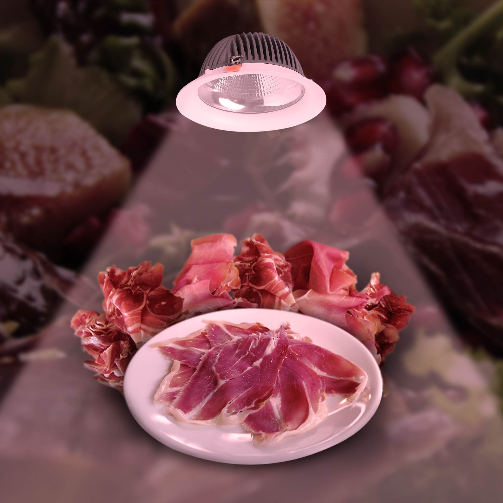 Downlight LED especial para carnicerías - 40W - Driver Philips - Corte Ø210 mm