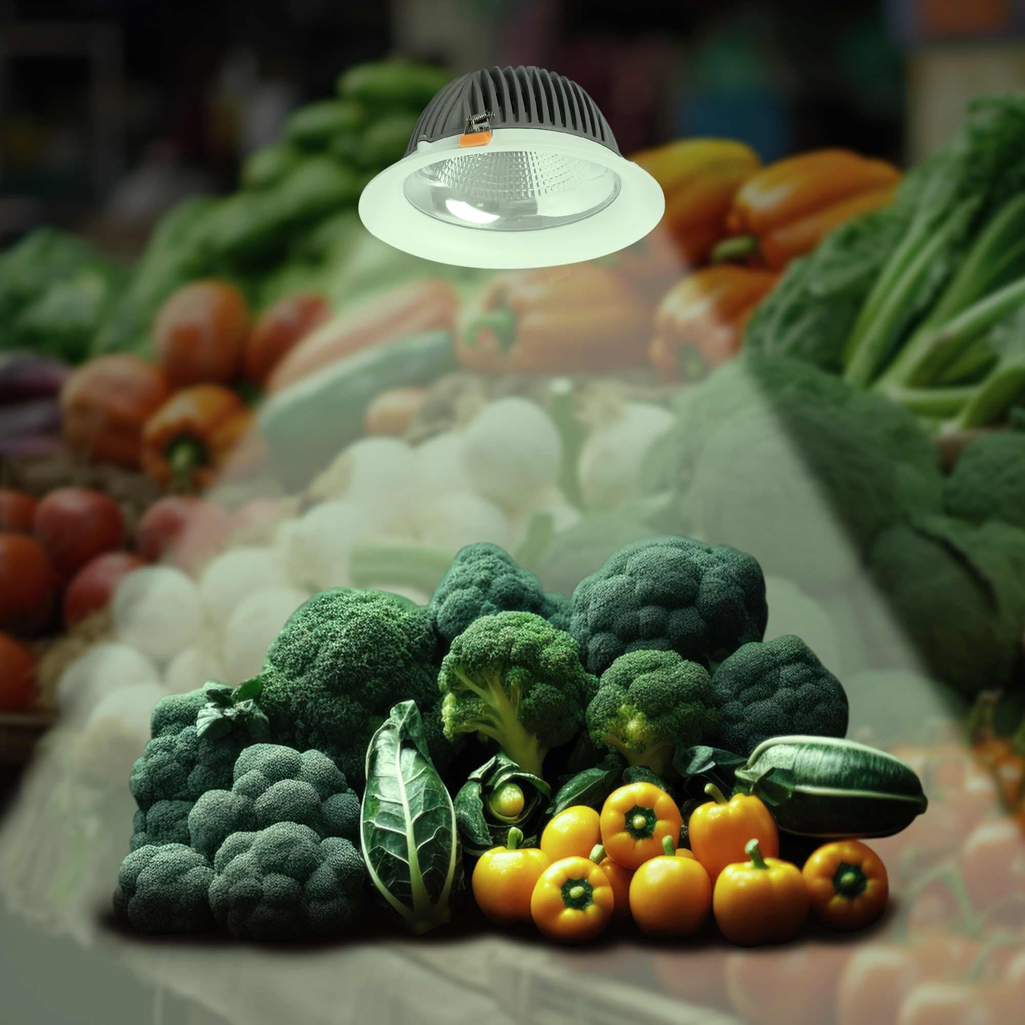 Downlight LED especial para frutas y verduras - 40W - Driver Philips - Corte Ø210 mm