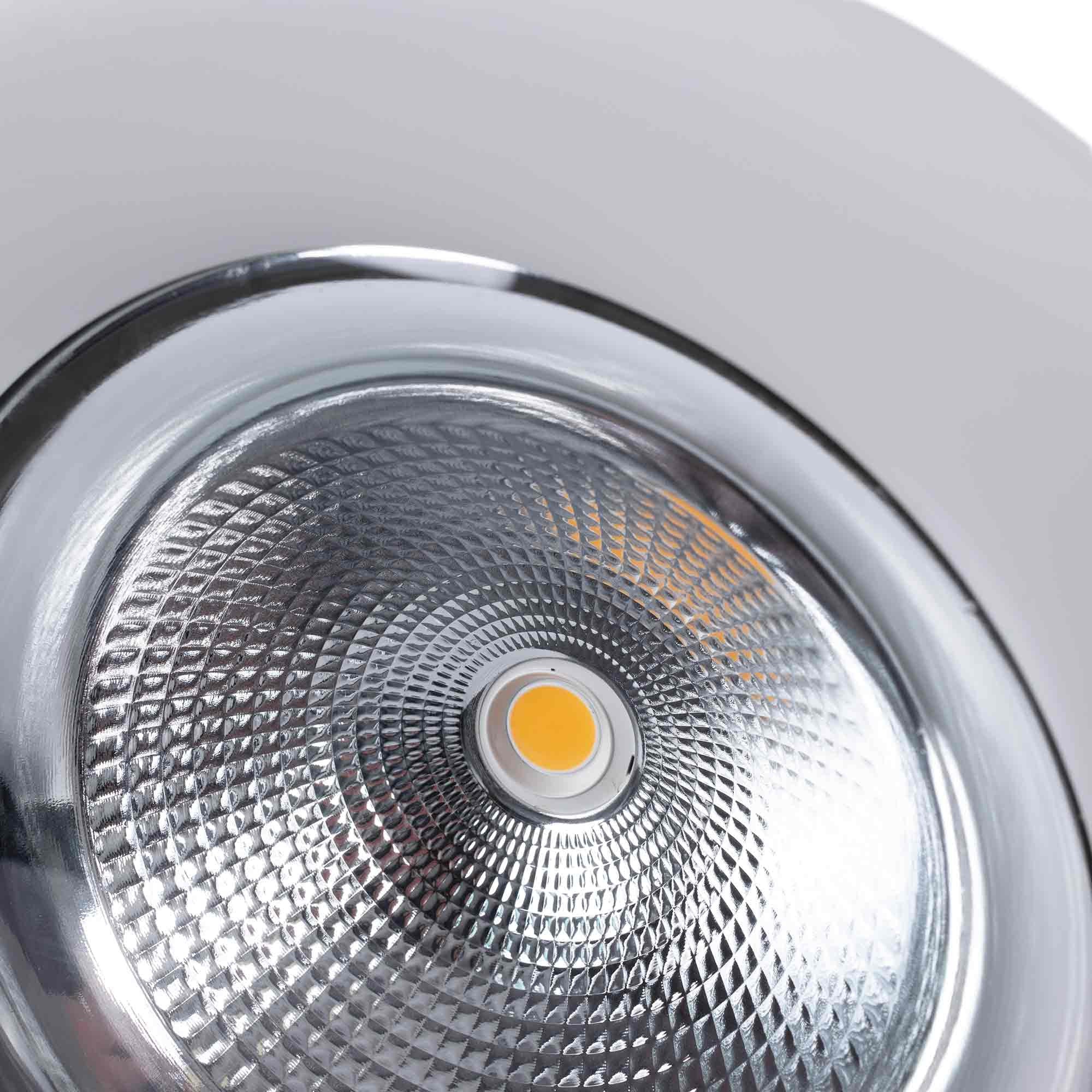 Downlight LED especial para carnicerías - 40W - Driver Philips - Corte Ø210 mm