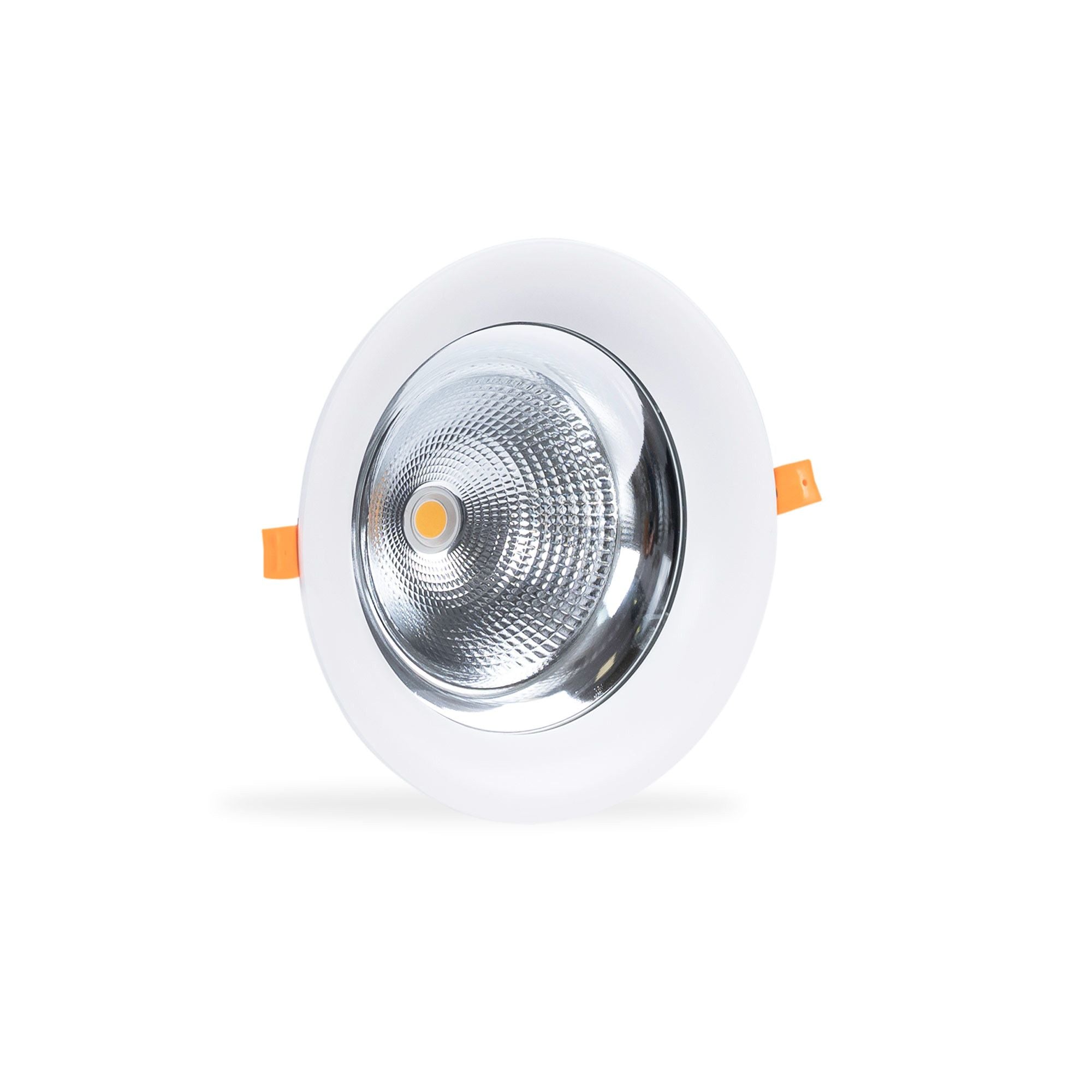 Downlight LED especial para verdulerías - 40W - Driver Philips - Corte Ø210 mm