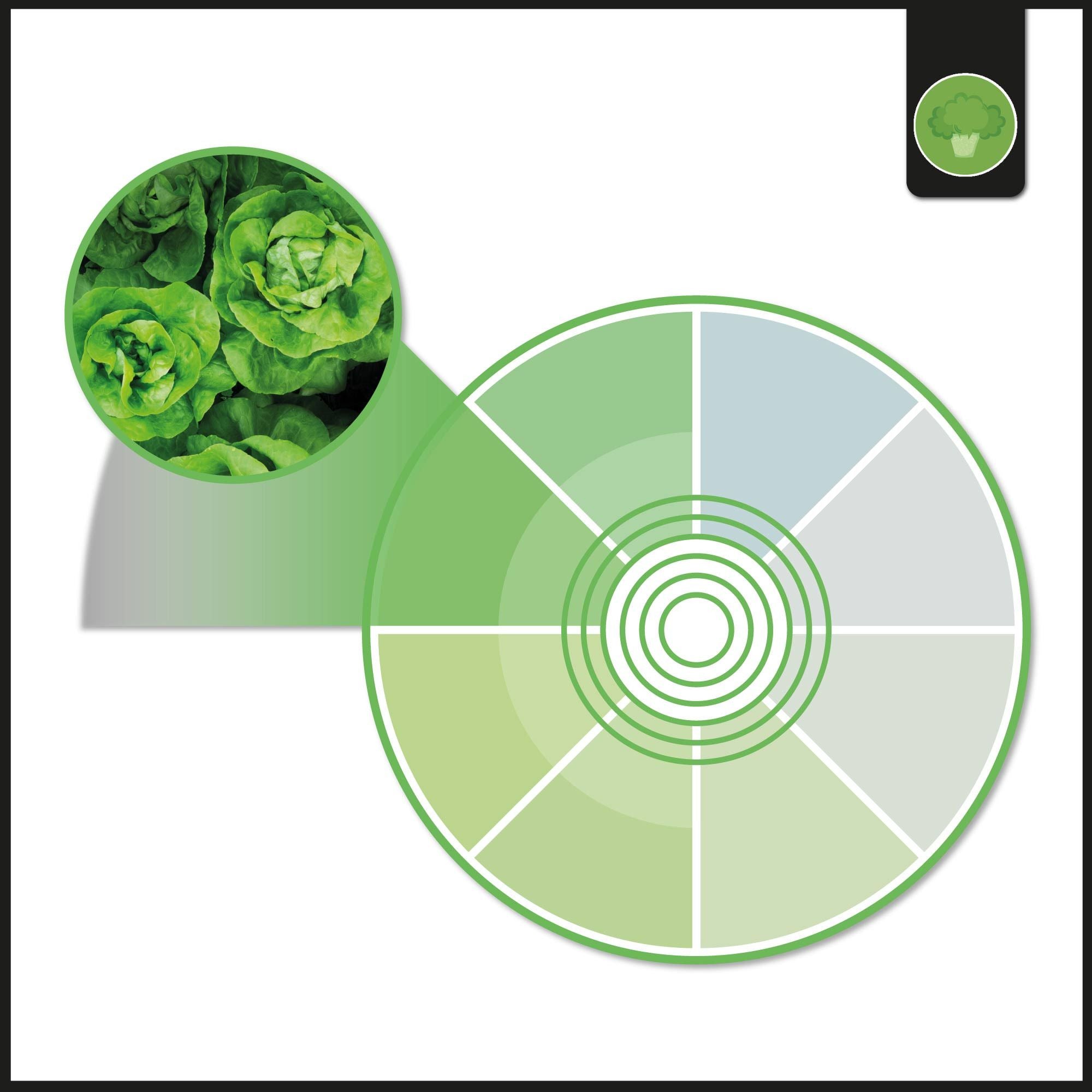 Downlight LED especial para verdulerías - 40W - Driver Philips - Corte Ø210 mm