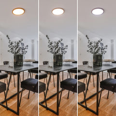 Plafón LED techo circular CCT 24W - IP40