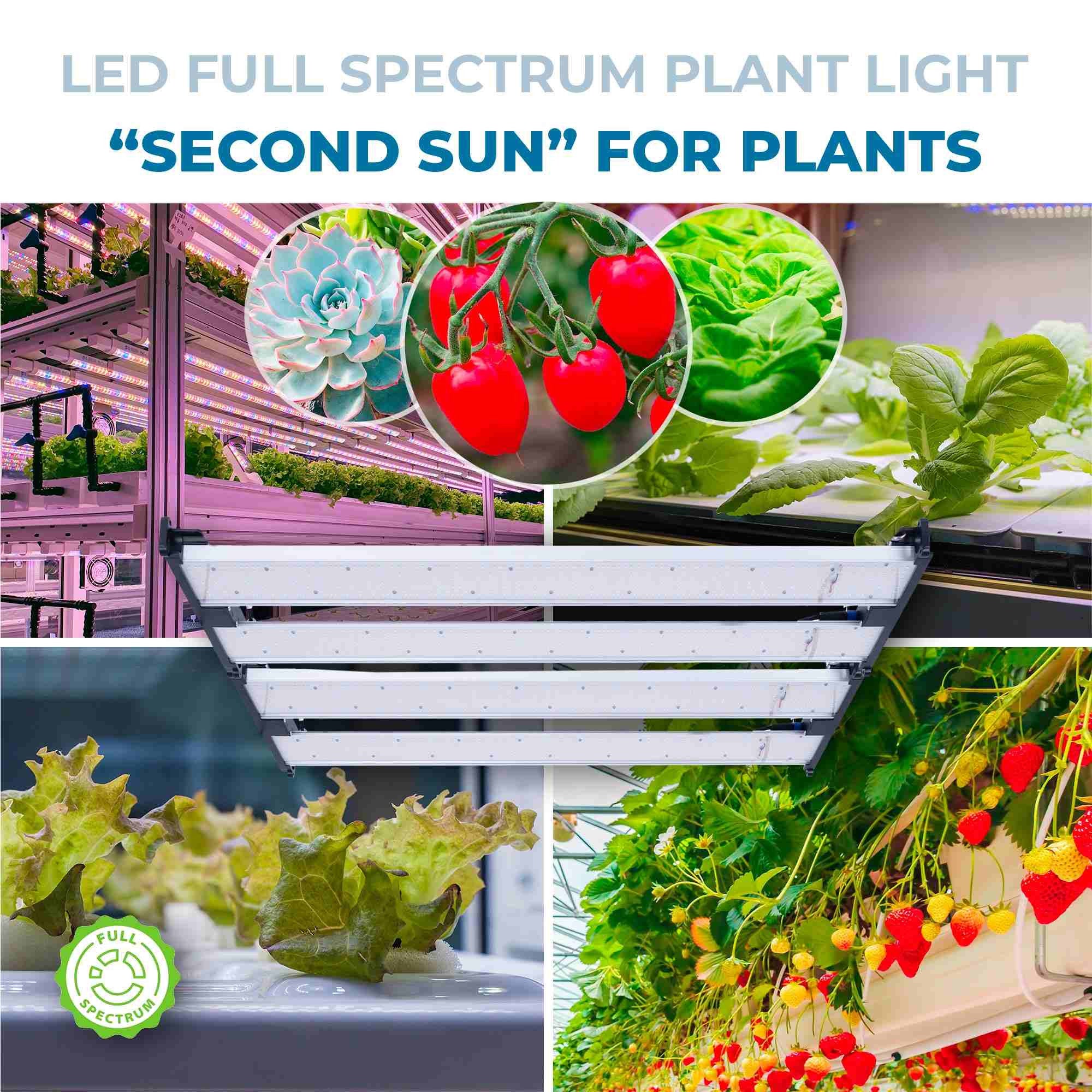 Luminaria LED de cultivo interior - 250W - Regulable 0-10V - Grow light Full Spectrum