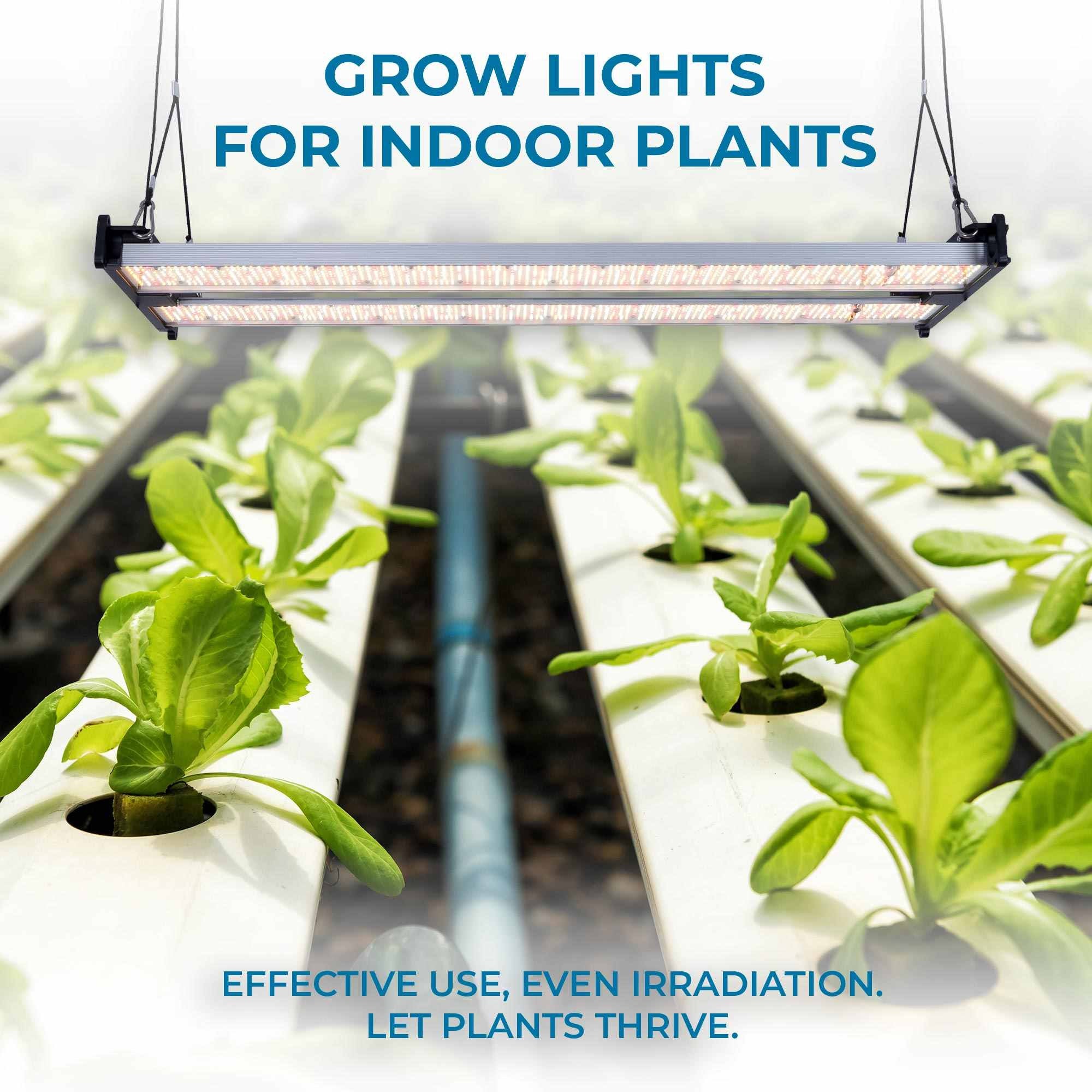 Luminaria LED de cultivo interior - 250W - Regulable 0-10V - Grow light Full Spectrum