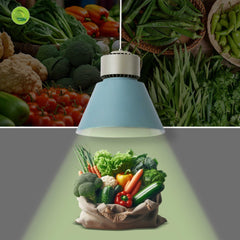 Campana LED 36W especial para verdulerías - Driver KeGu