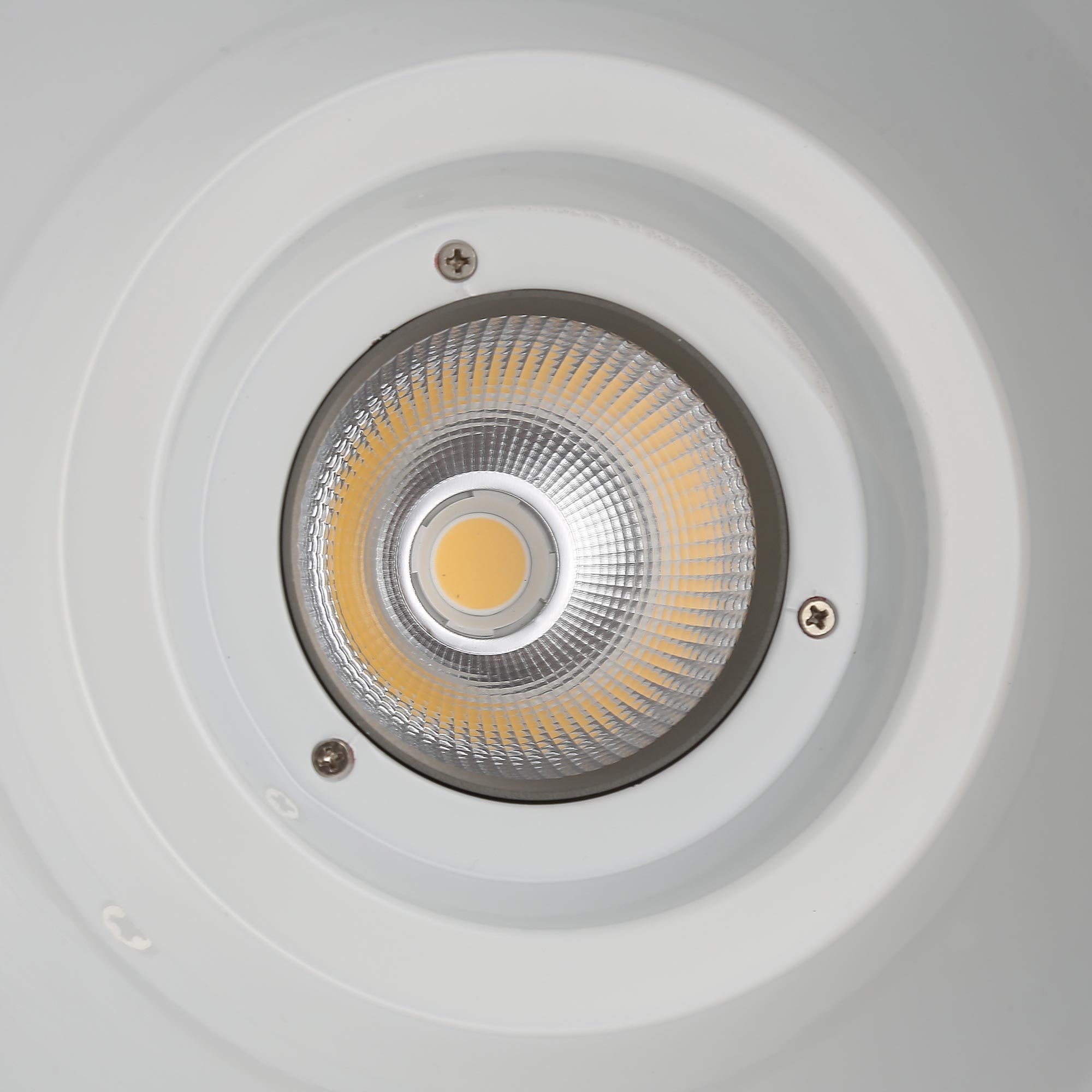 Campana LED 36W especial para oro y vino - Driver KeGu