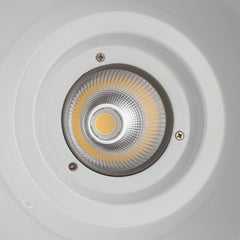 Campana LED 36W especial para oro y vino - Driver KeGu