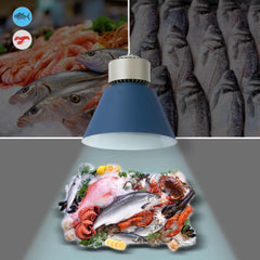 Campana LED 36W especial para pescados y mariscos - Driver KeGu