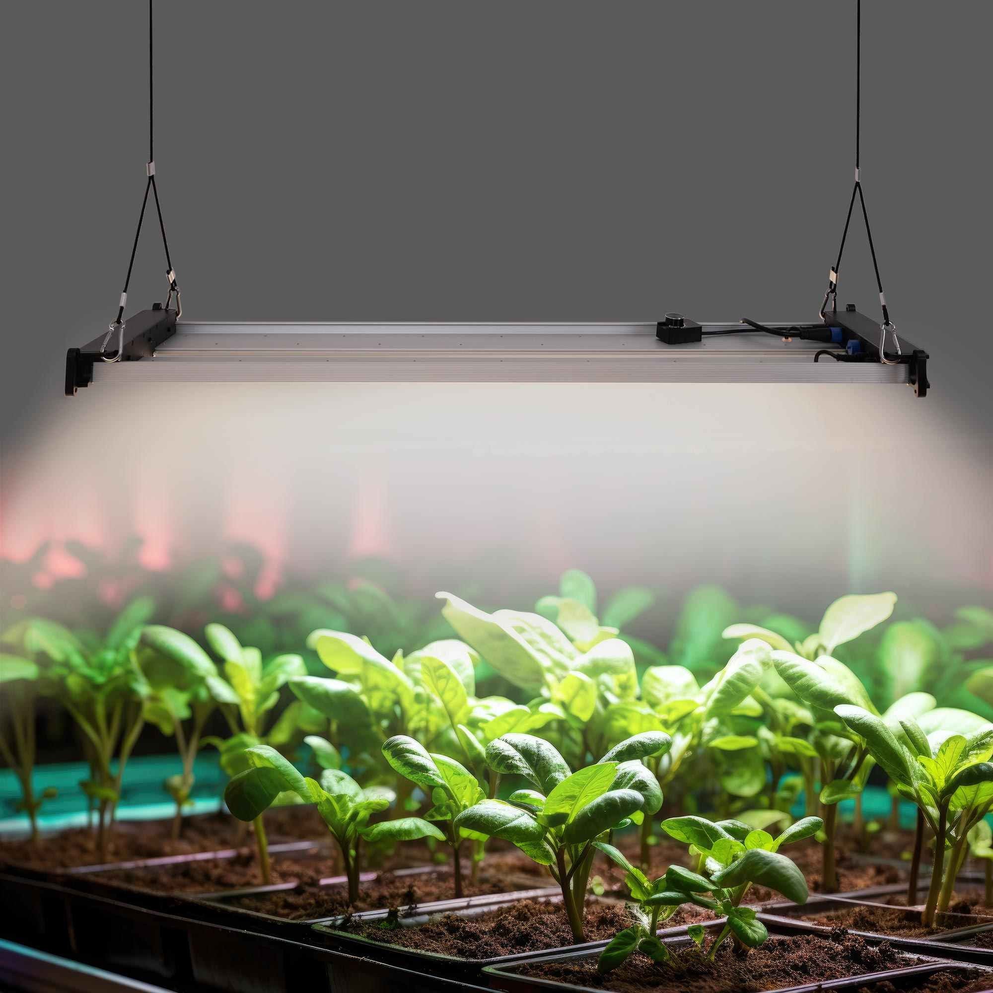 Luminaria LED de cultivo interior - 250W - Regulable 0-10V - Grow light Full Spectrum