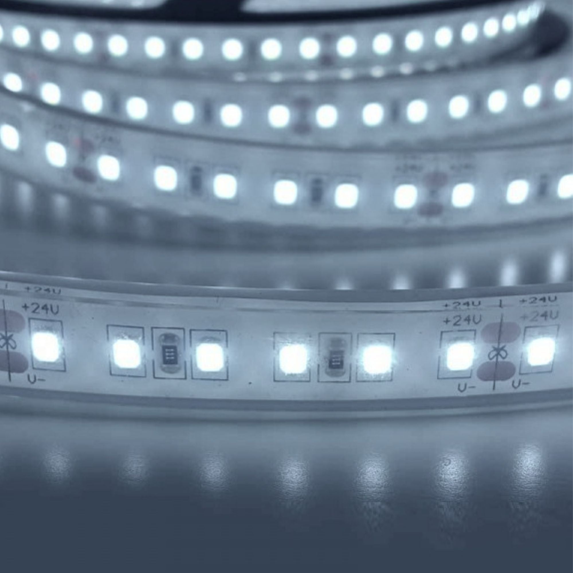 Tira LED 24V DC - Monocolor - 18W/m - 12mm - IP67 - 5 metros - 120ch/m