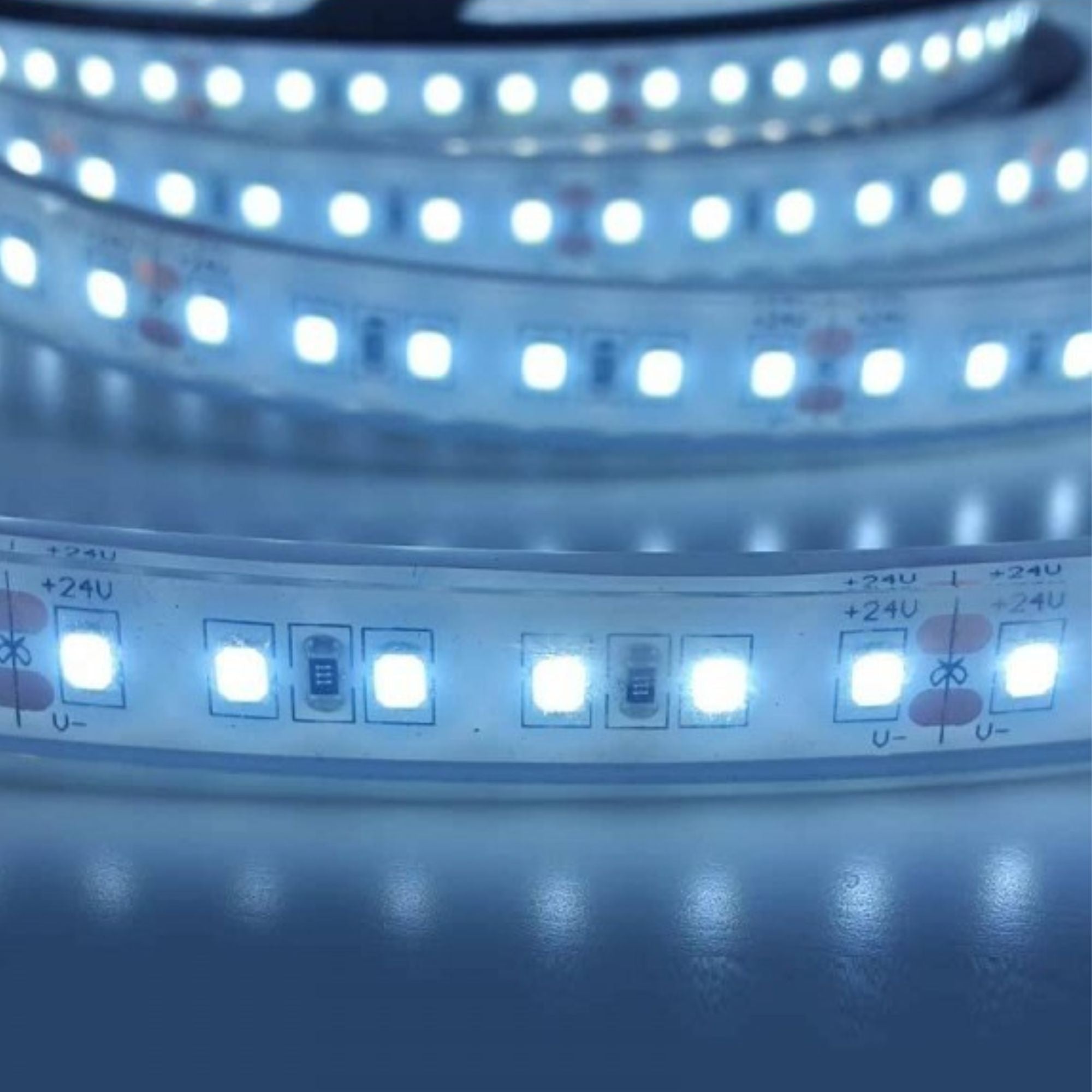 Tira LED 24V DC - Monocolor - 18W/m - 12mm - IP67 - 5 metros - 120ch/m