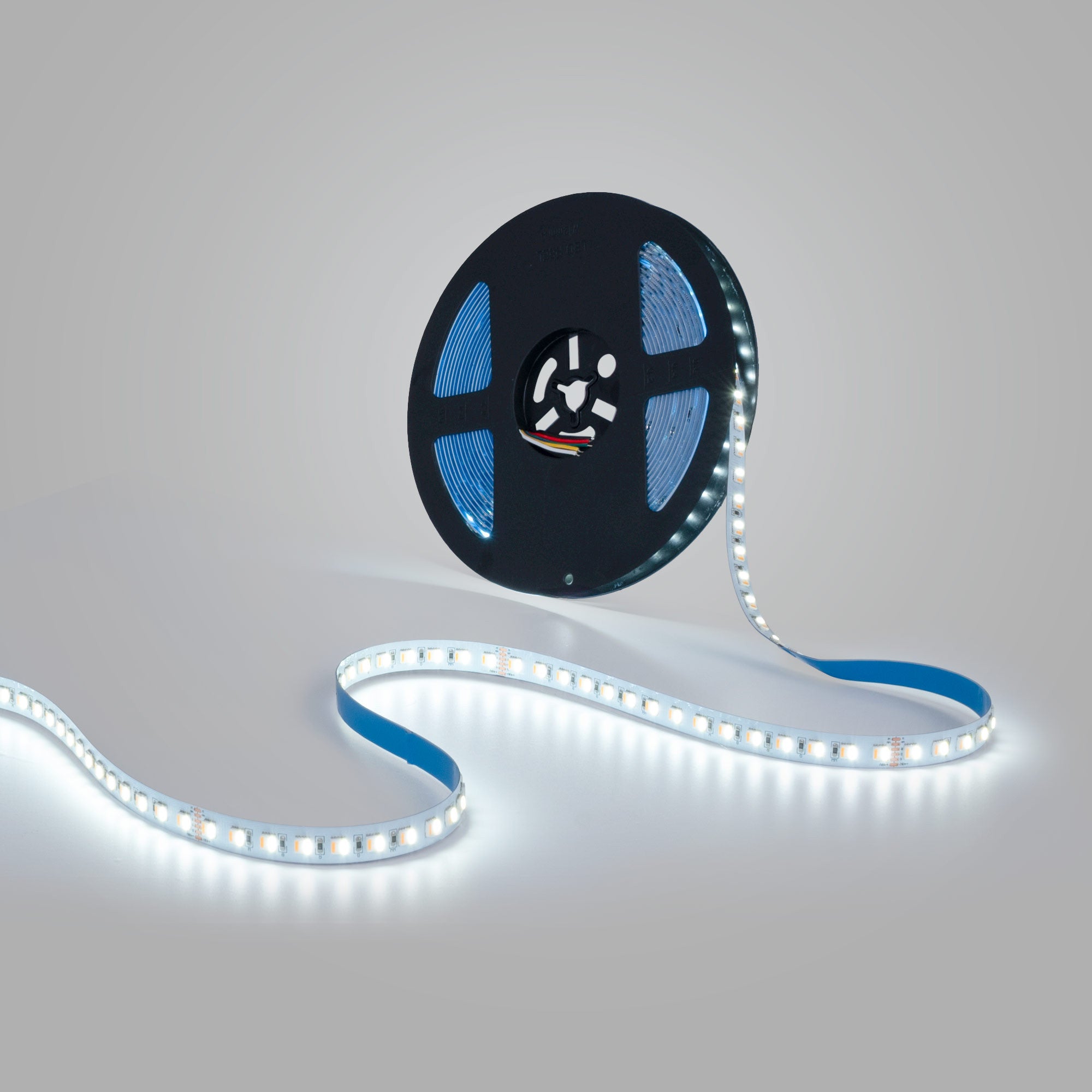 Tira LED 48V DC - RGB + CCT - 15W/m - 12mm - IP20 - 10 metros - 90ch/m