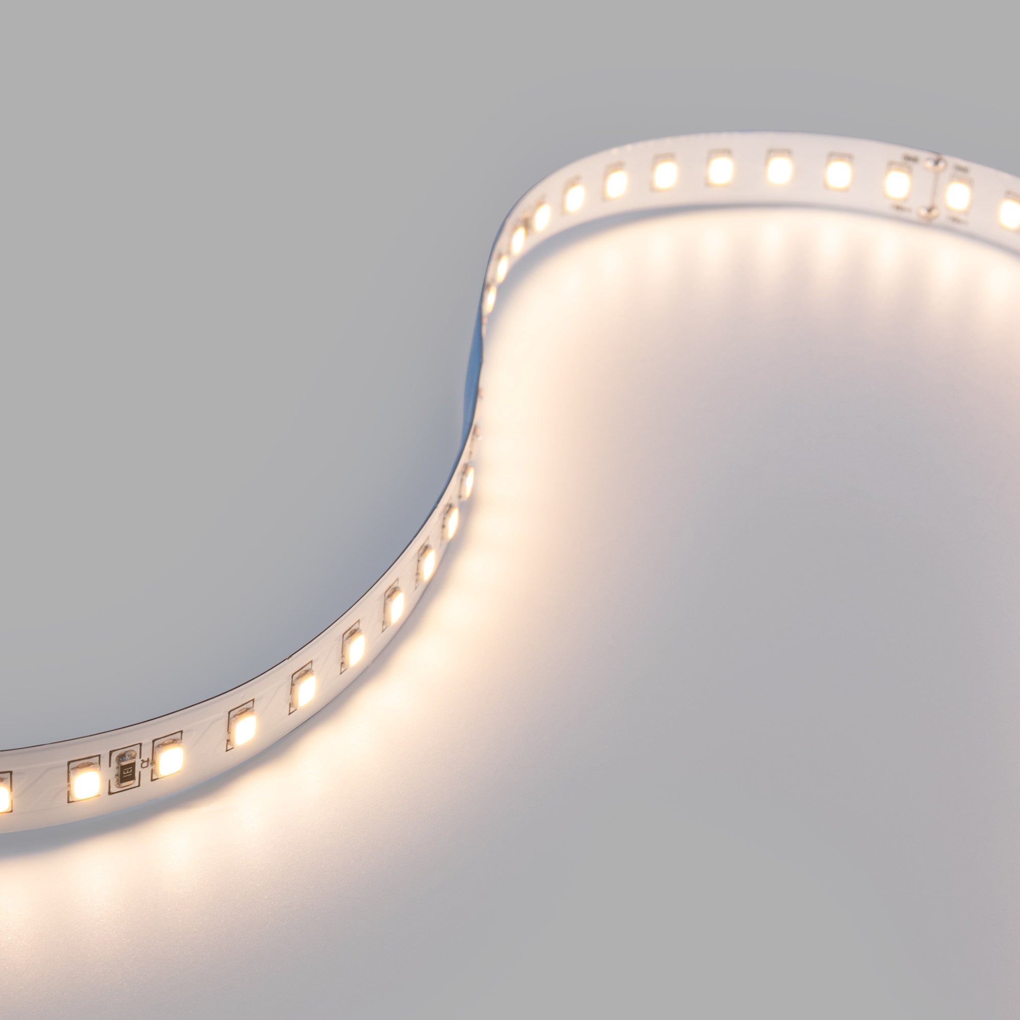 Tira LED 48V DC - Monocolor - 12W/m - 10mm - IP20 - 20 metros - 120ch/m
