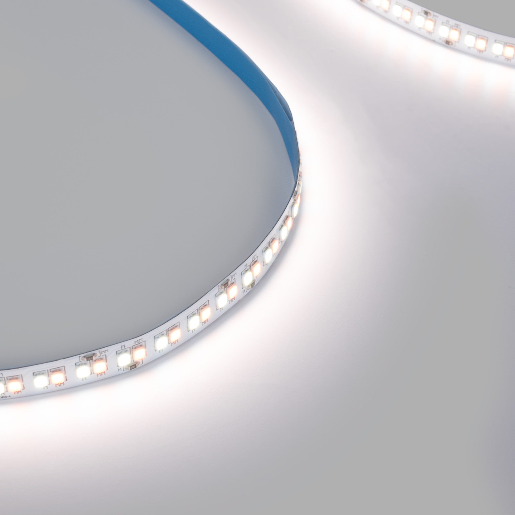 Tira LED 48V DC - CCT (1800-6500K) - 12W/m - 10mm - IP20 - 20 metros - 224ch/m