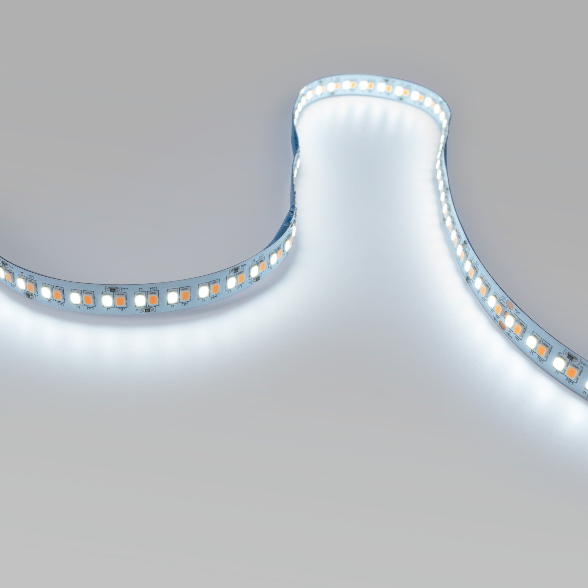 Tira LED 48V DC - CCT (1800-6500K)- 12W/m - 10mm - IP20 - 10 metros - 224ch/m