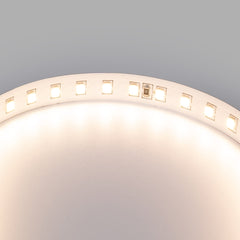 Tira LED 48V DC - Monocolor - 12W/m - 10mm - IP20 - 10 metros - 120ch/m