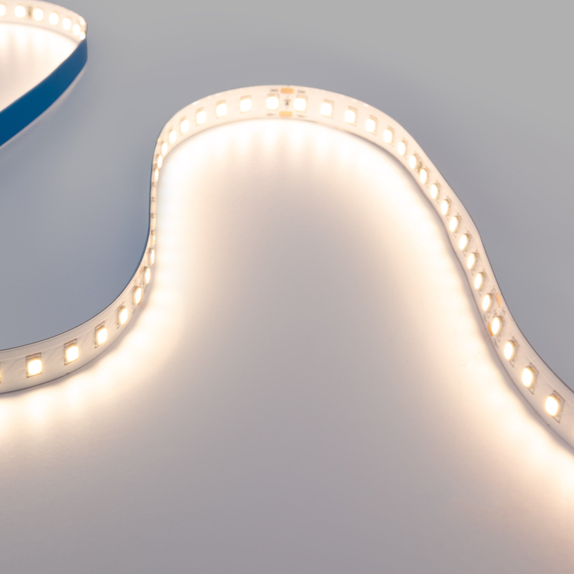 Tira LED 48V DC - Monocolor - 12W/m - 10mm - IP20 - 10 metros - 120ch/m