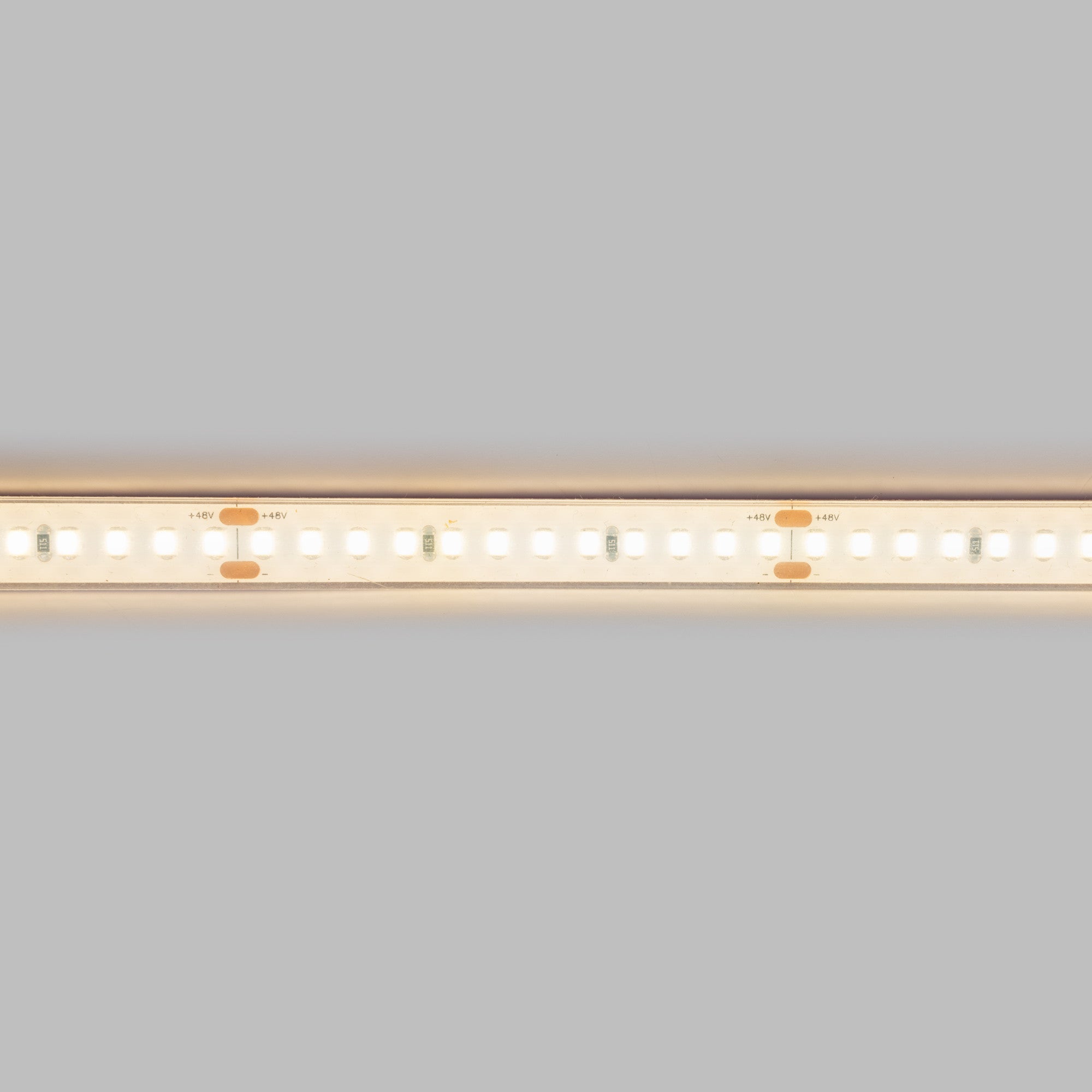 Tira LED 48V DC sumergible - Monocolor - 9.6W/m - 12mm - IP68 - 20 metros - 168ch/m