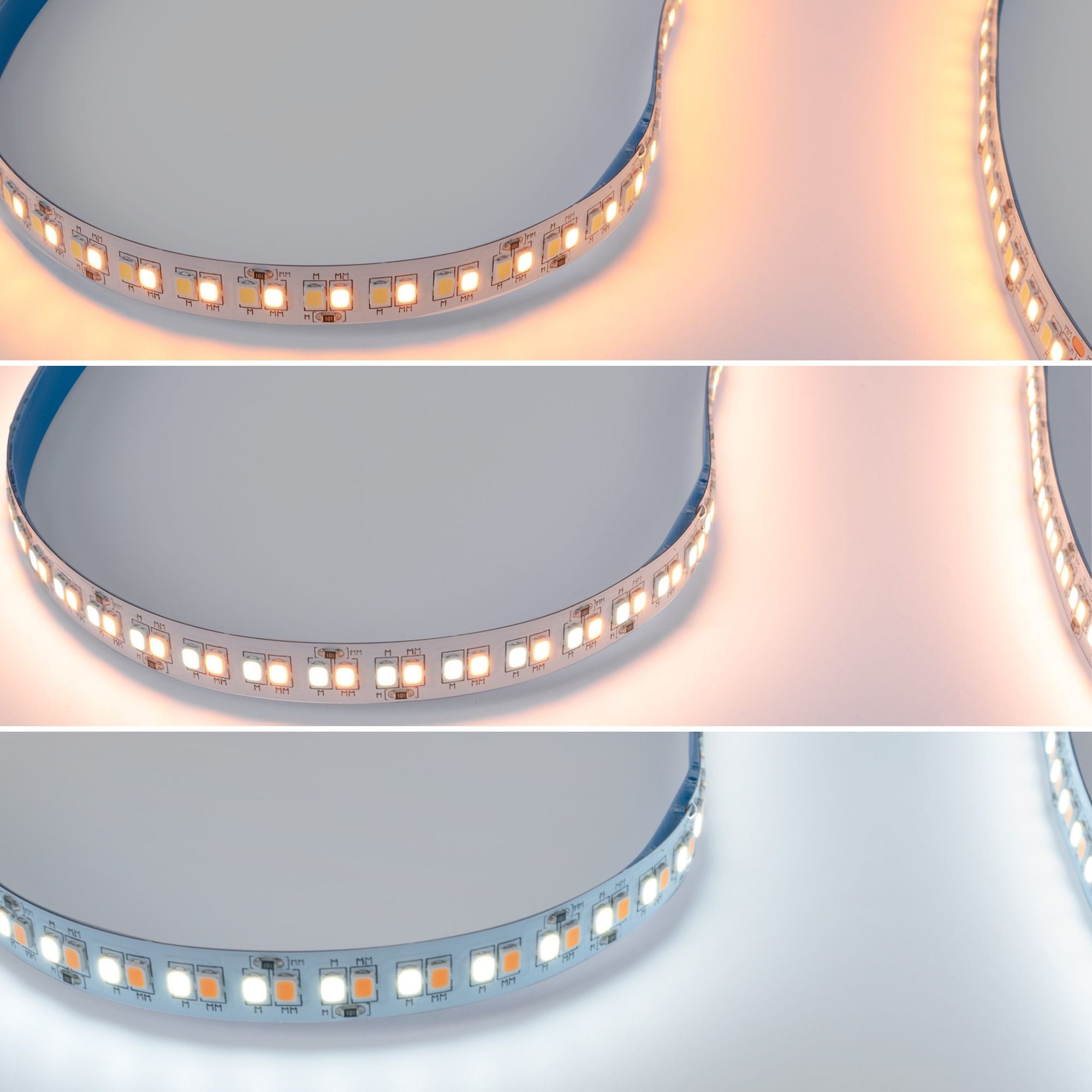 Tira LED 48V DC - RGB + CCT - 15W/m - 12mm - IP20 - 10 metros - 90ch/m