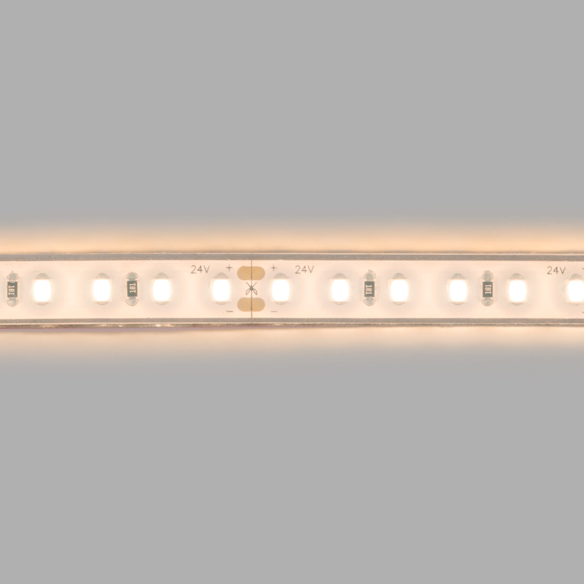 Tira LED 24V DC sumergible - Monocolor - 9.6W/m - 10mm - IP68 - 5 metros - 120ch/m
