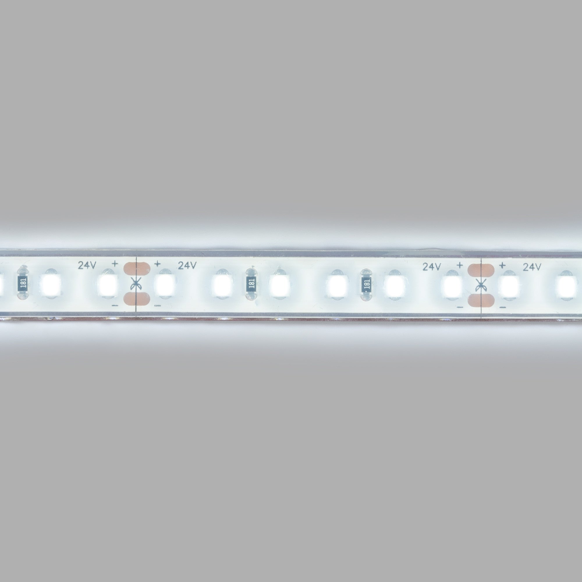 Tira LED 24V DC sumergible - Monocolor - 9.6W/m - 10mm - IP68 - 5 metros - 120ch/m