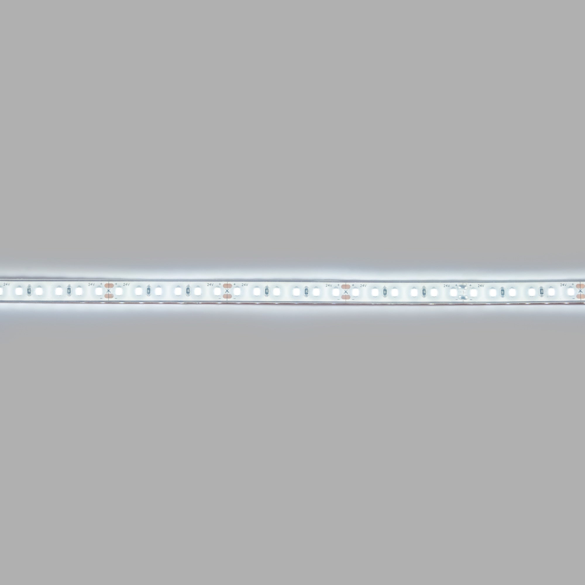 Tira LED 24V DC sumergible - Monocolor - 9.6W/m - 10mm - IP68 - 5 metros - 120ch/m