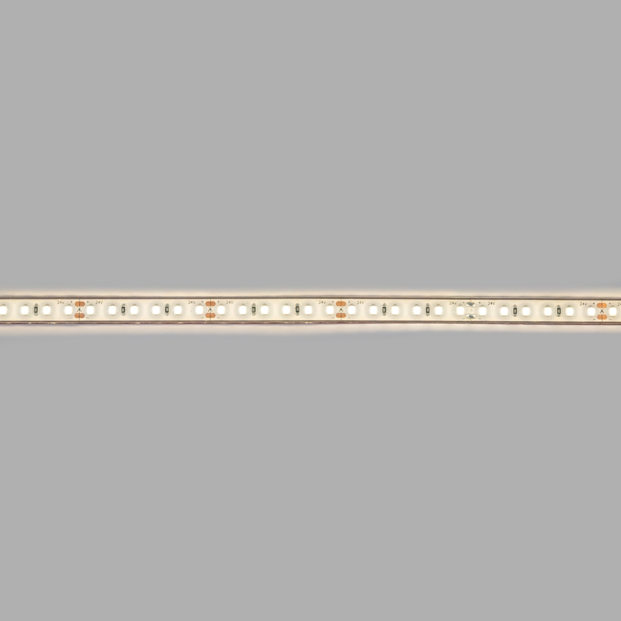 Tira LED 24V DC sumergible - Monocolor - 9.6W/m - 10mm - IP68 - 5 metros - 120ch/m
